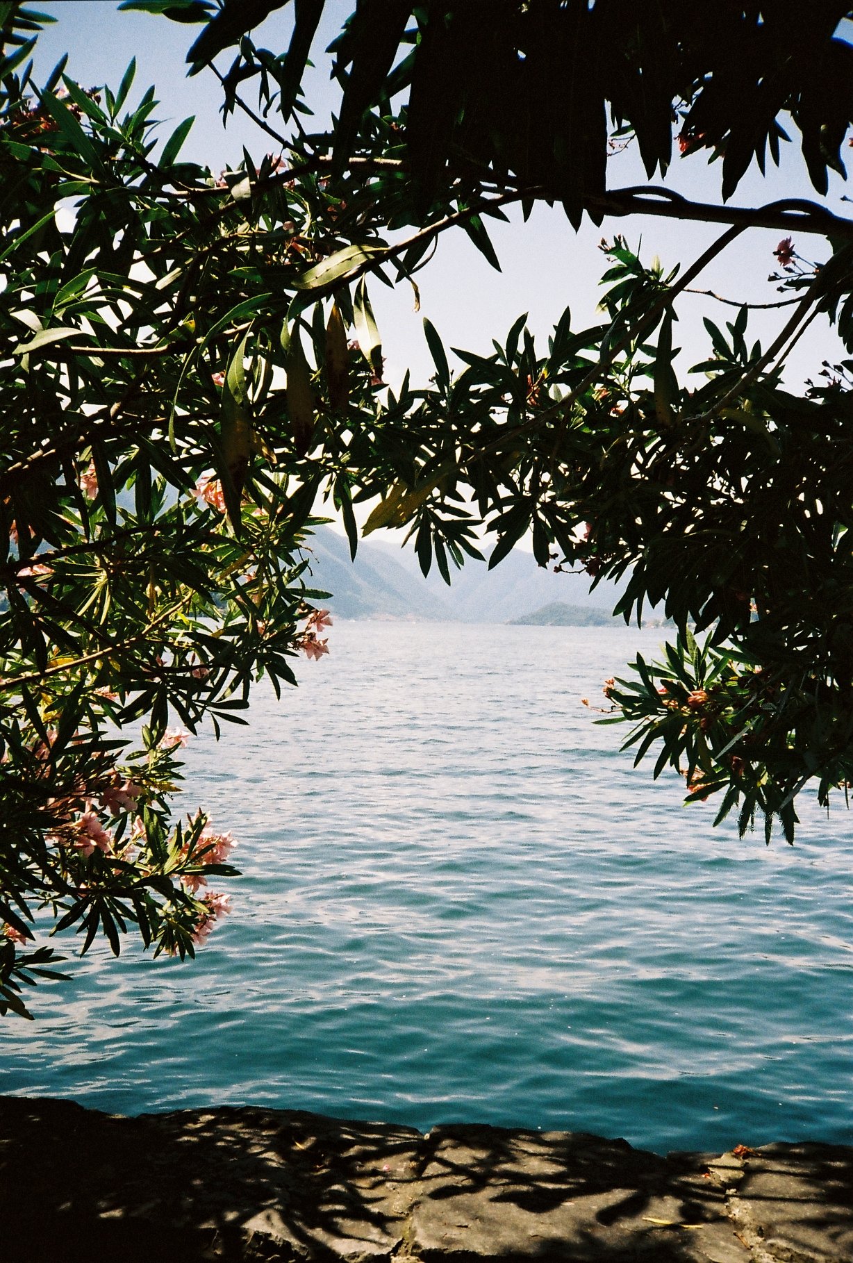 C059621-R1-14-22A.jpeg