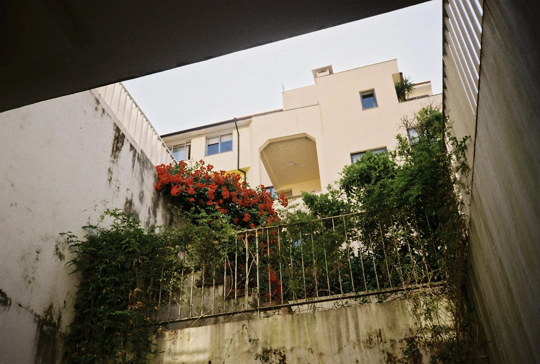 C082354-R1-02-35A.jpeg