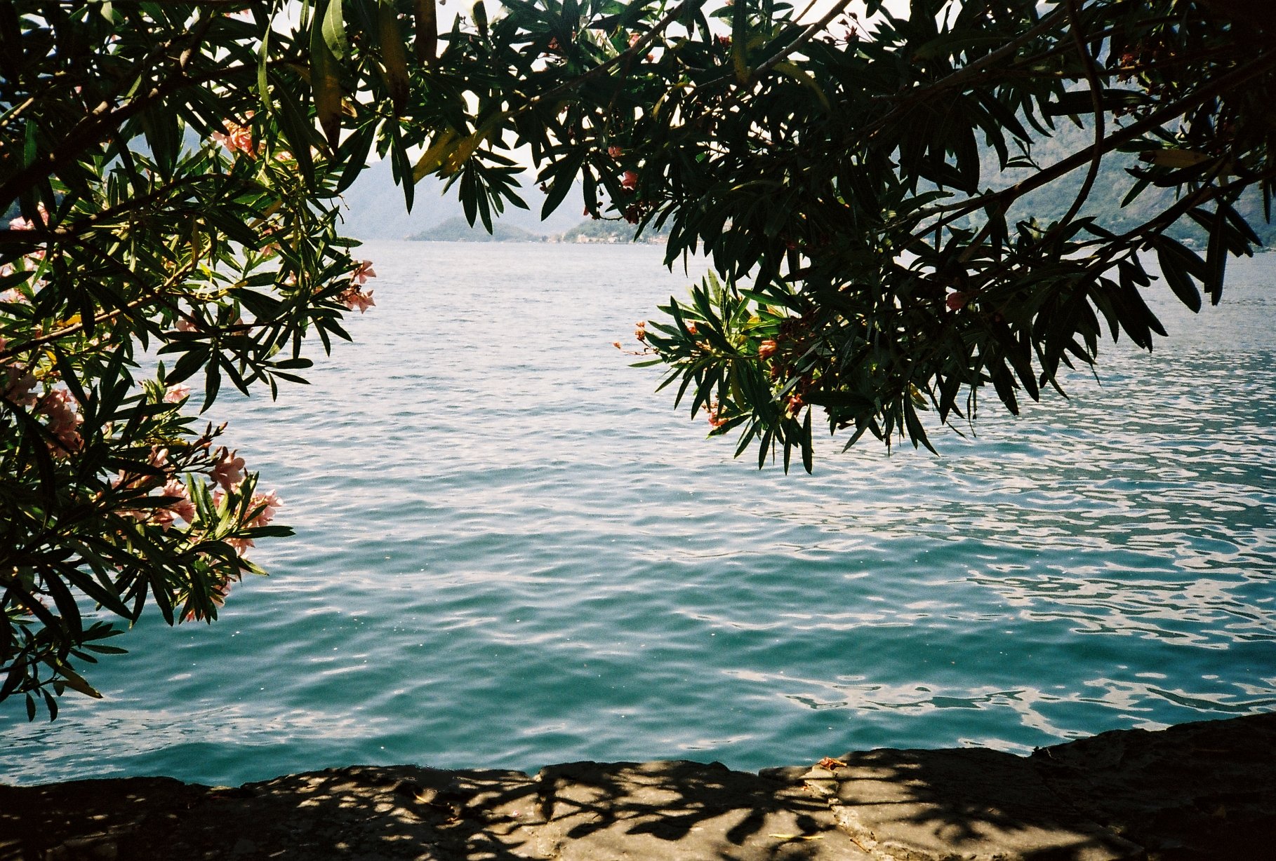 C059621-R1-15-21A.jpeg