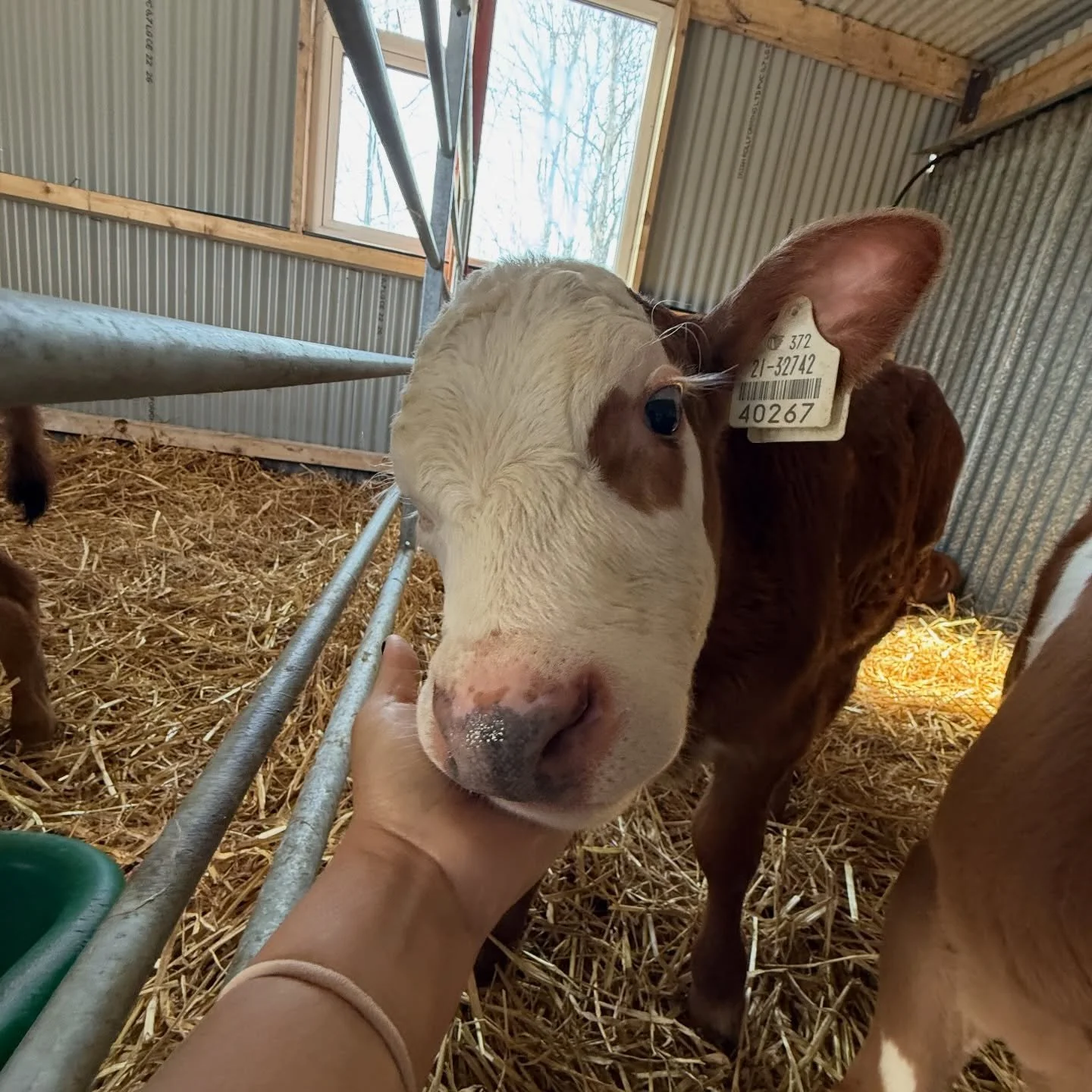 If missing, don&rsquo;t come looking