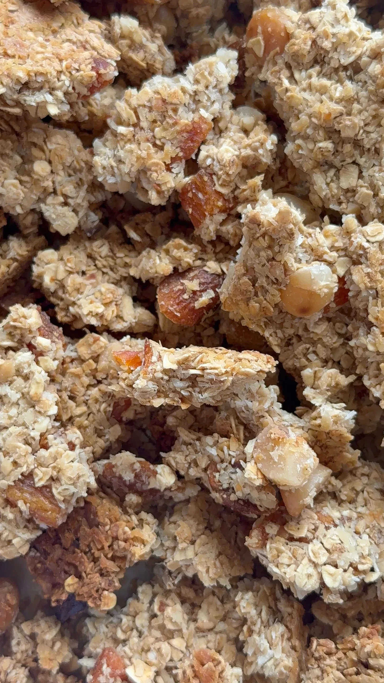 Waste Not Tropical Discard Granola 
