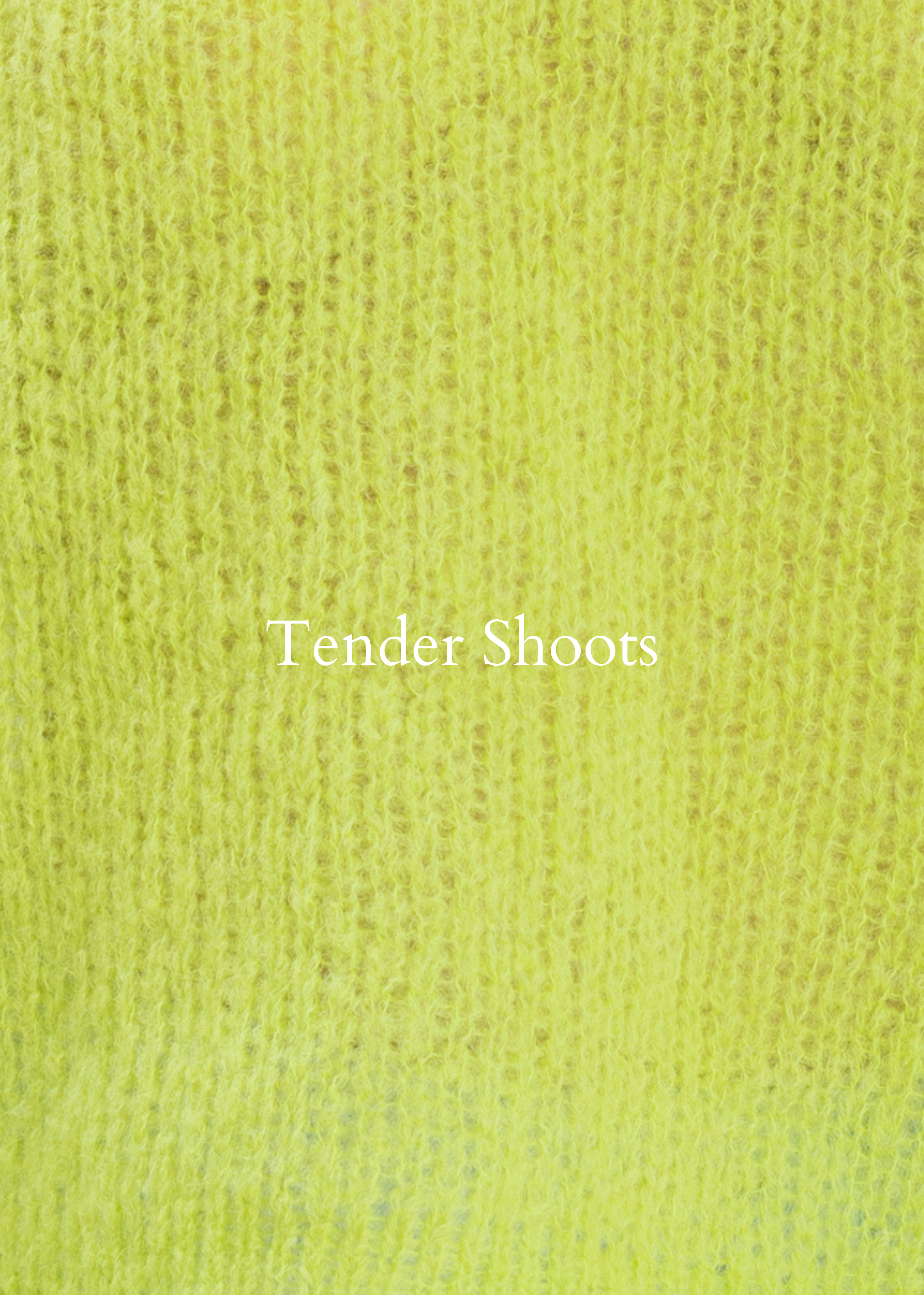 58.png (copia) (copia)