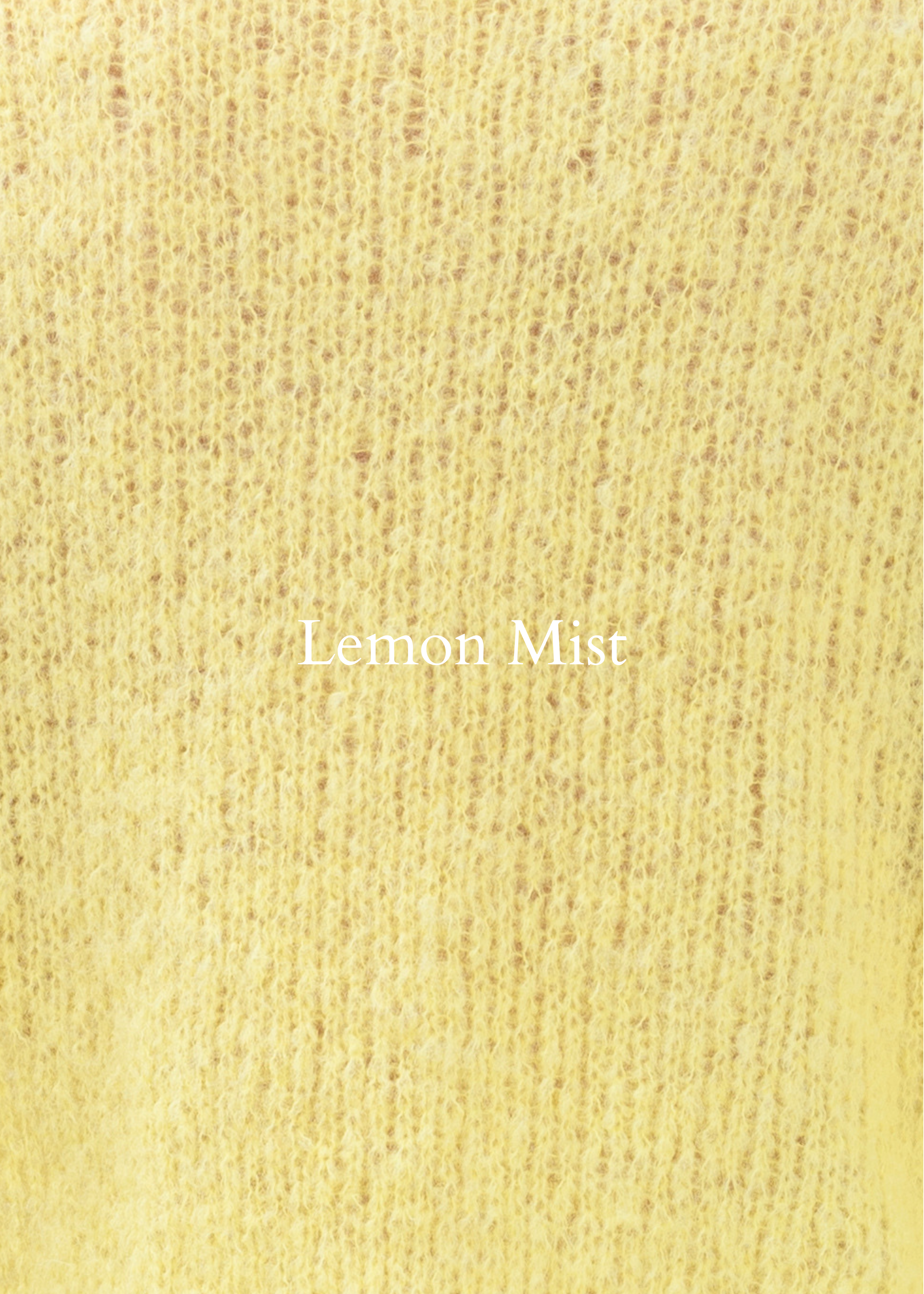 57.png (copia) (copia)