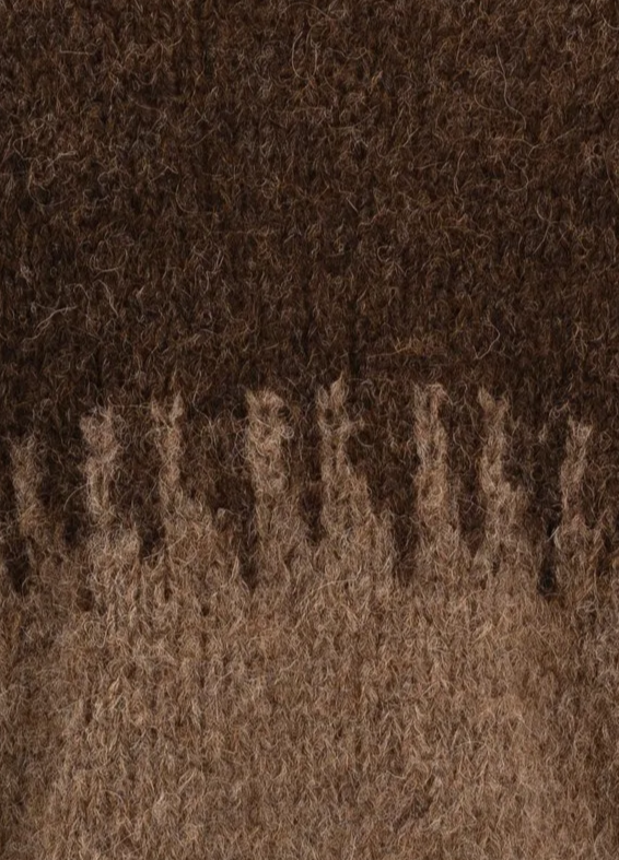 elaasanova.M%2526H%2B2025-2026%2BWS-1883.png