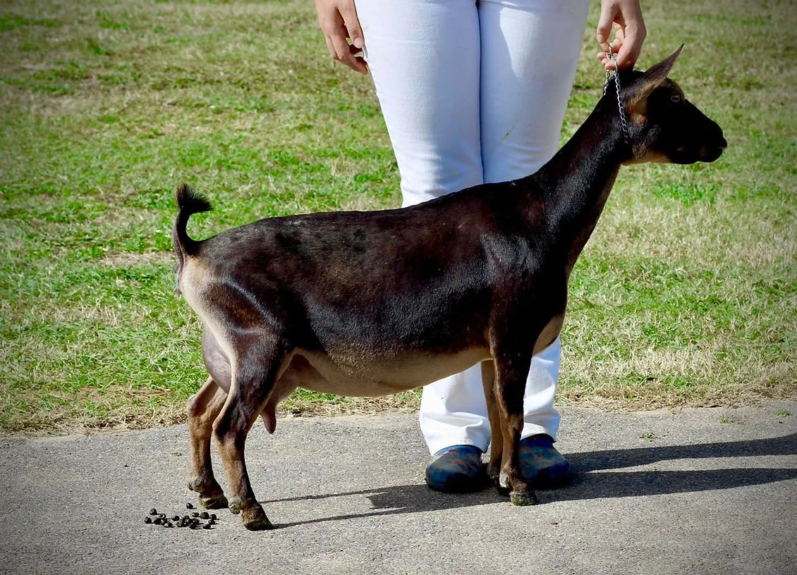 Dam Gotta B Kid N SweetGeorgaBrown Photo credit to Drewem