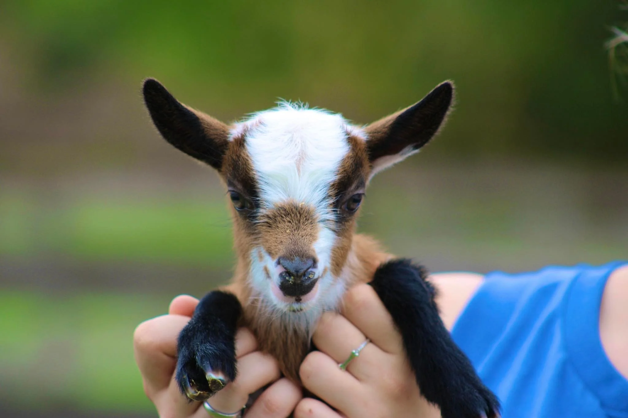 Baby Ruth kid photo credit to Winning Streak 