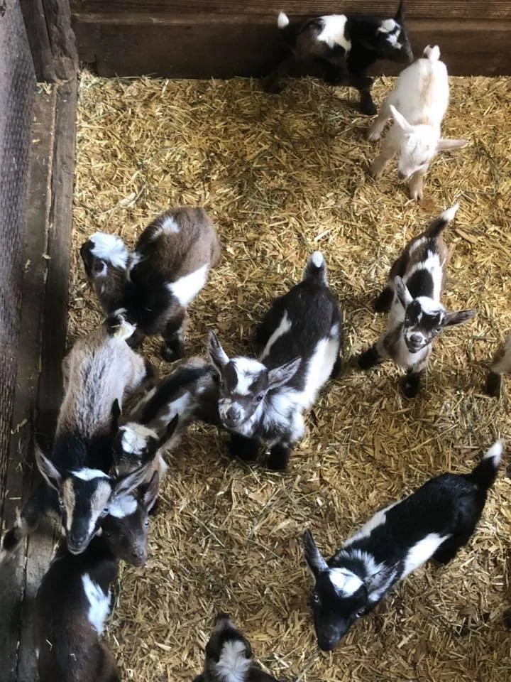 Flawless bby photo credit to Winning Streak