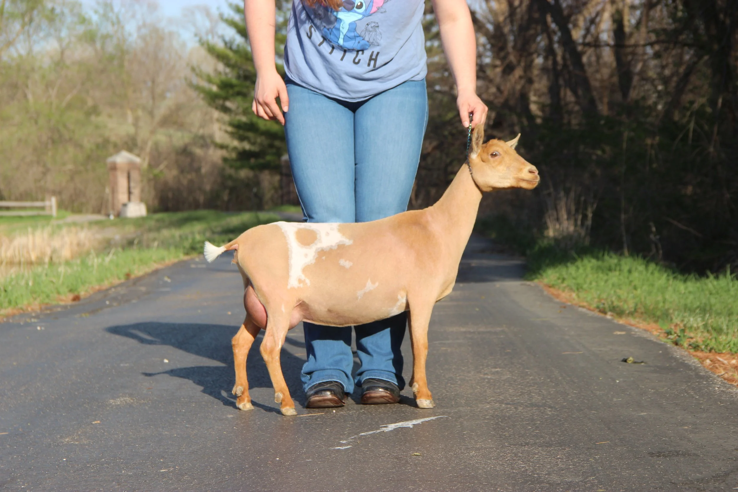 FF 10 days Fresh Show Fill