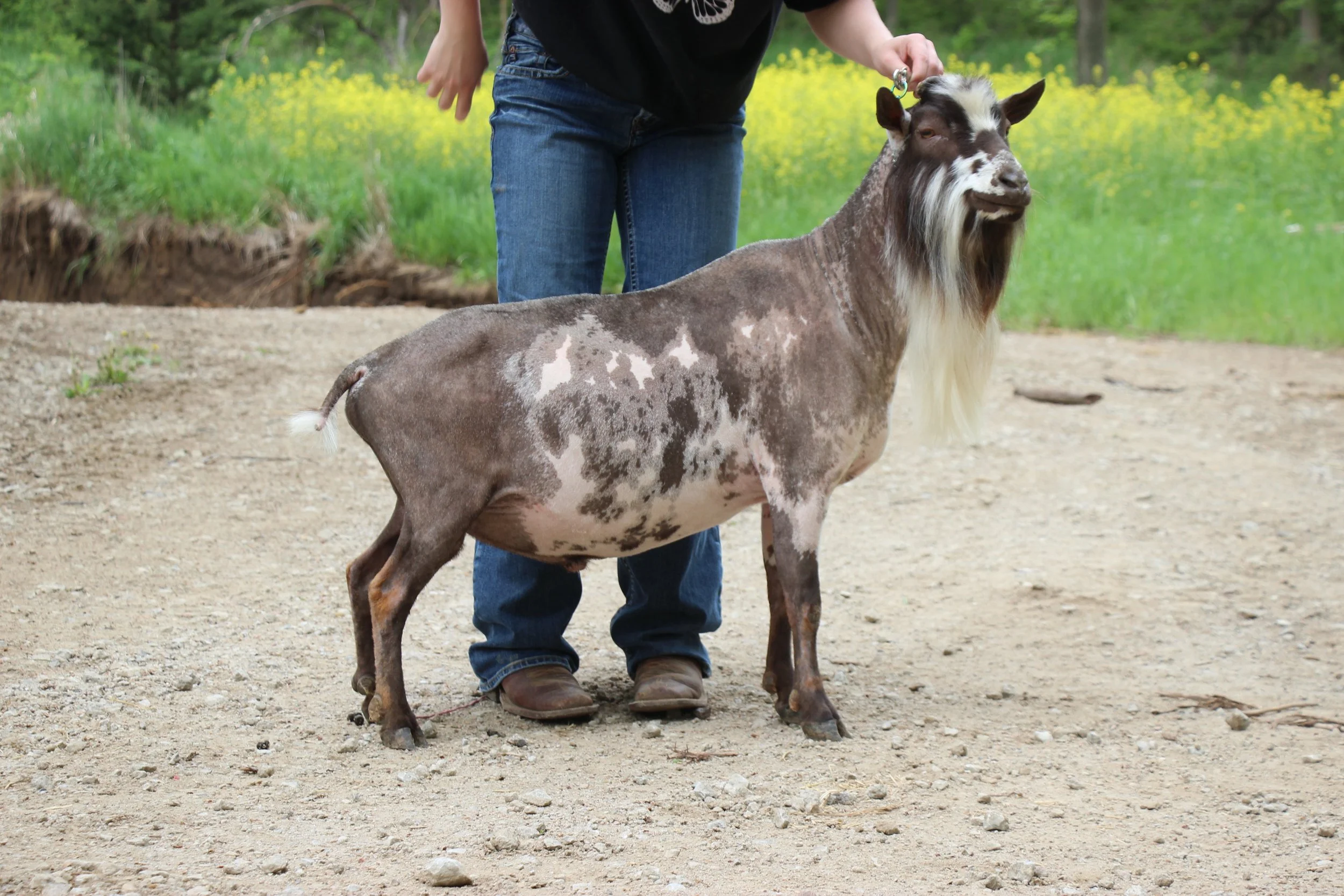 Flawless summer 2023