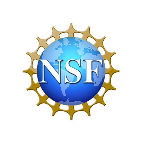 nsf logo.png