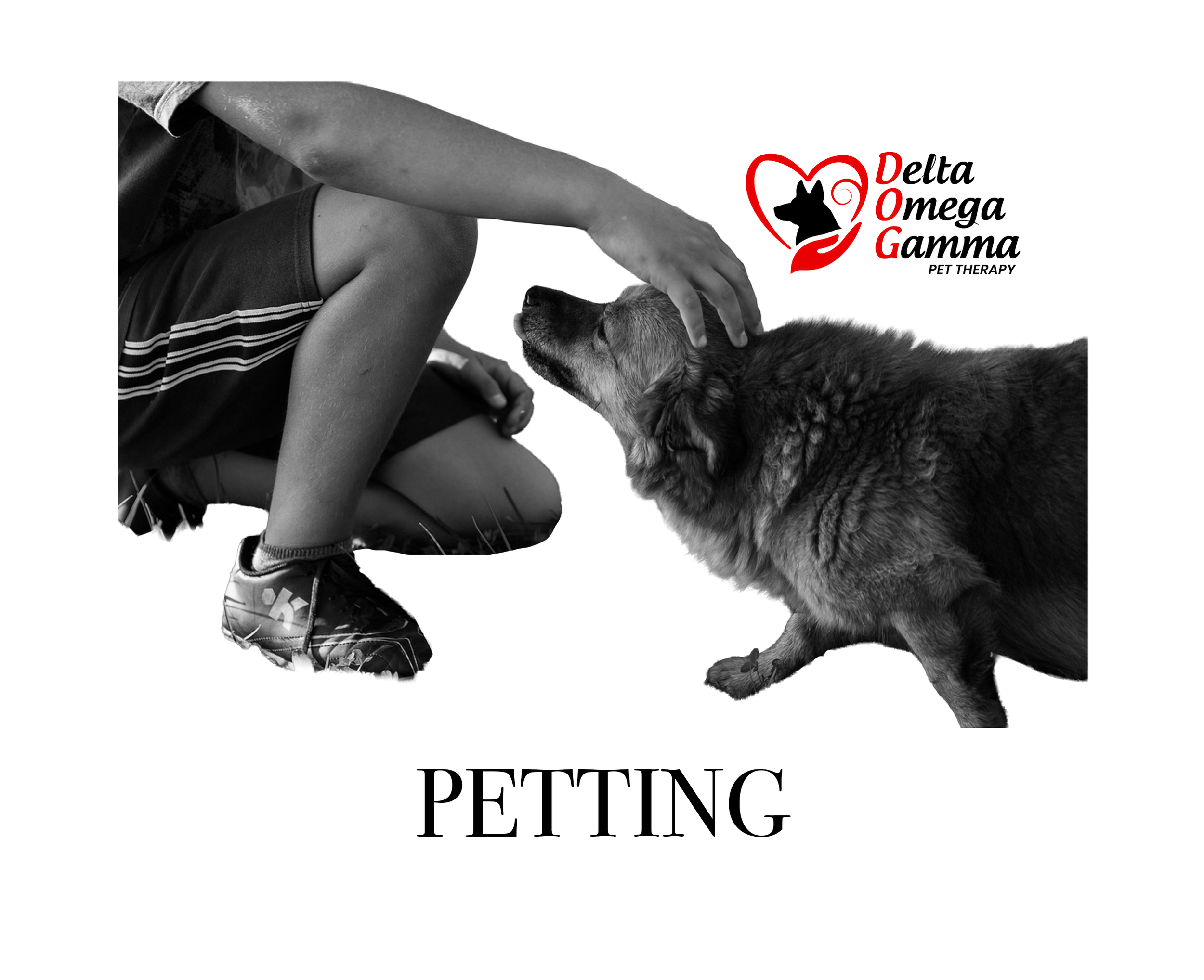 Petting (Ears, Feet, Tail)
