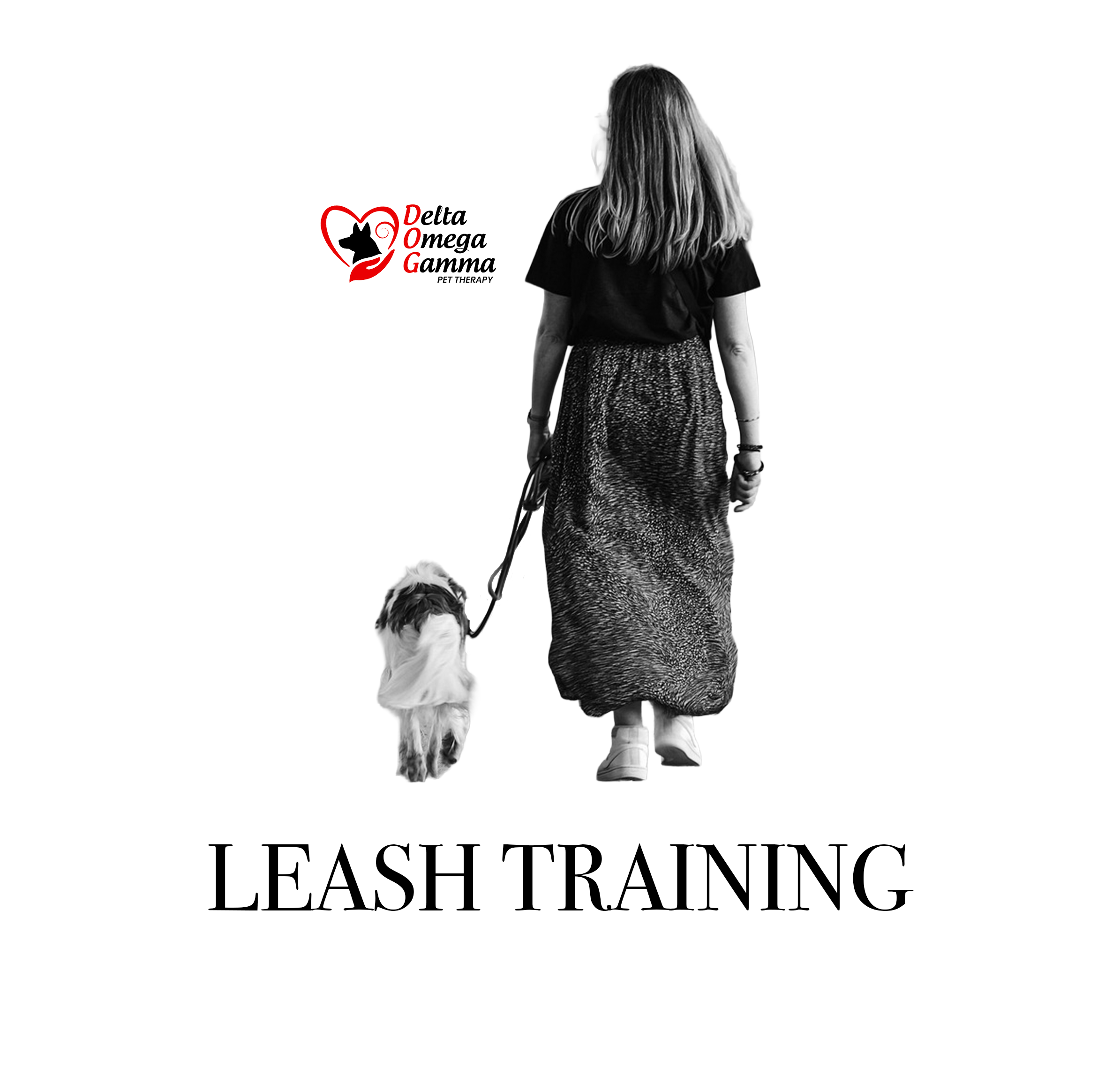 Leash Training and Walking