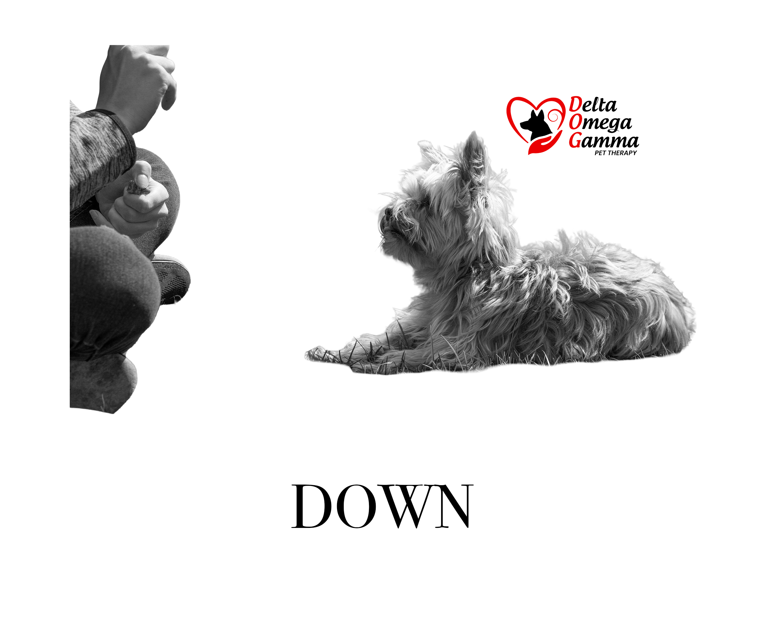 Down Command