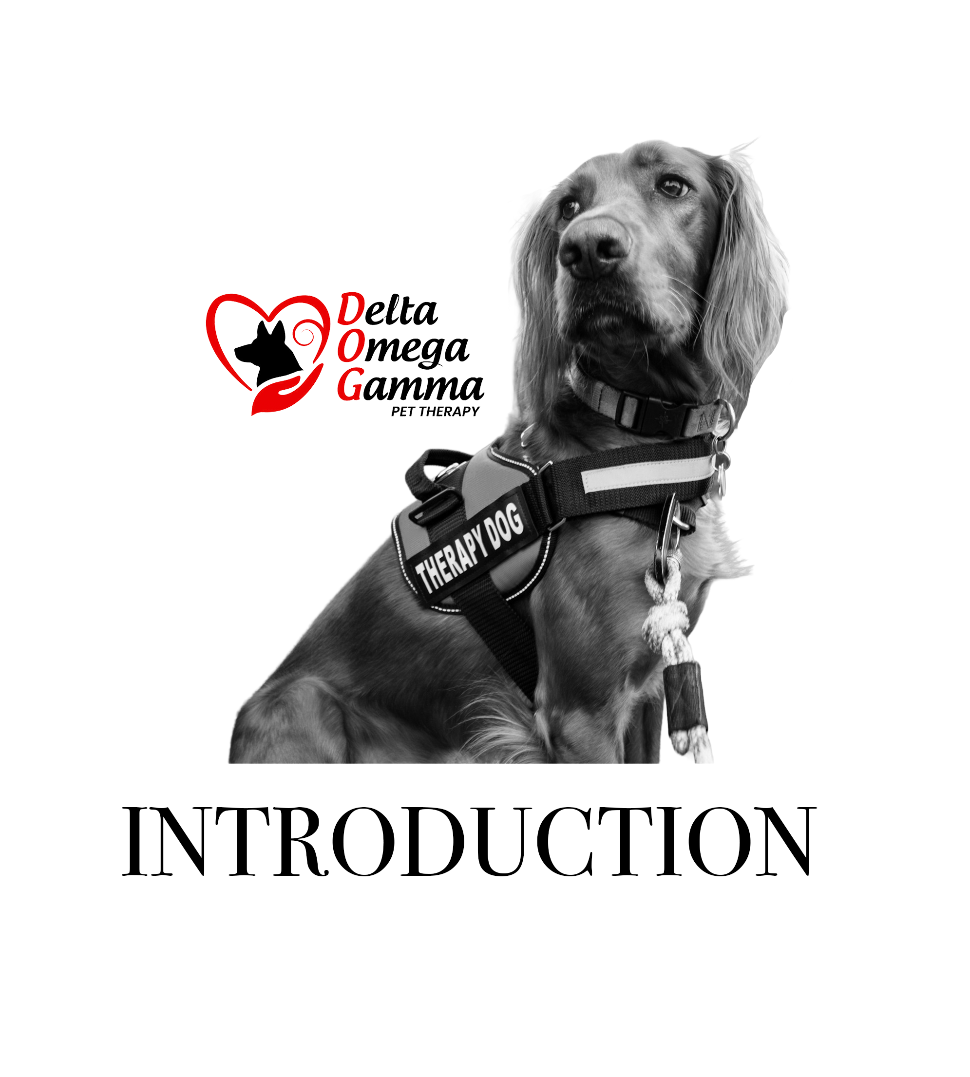 Introduction