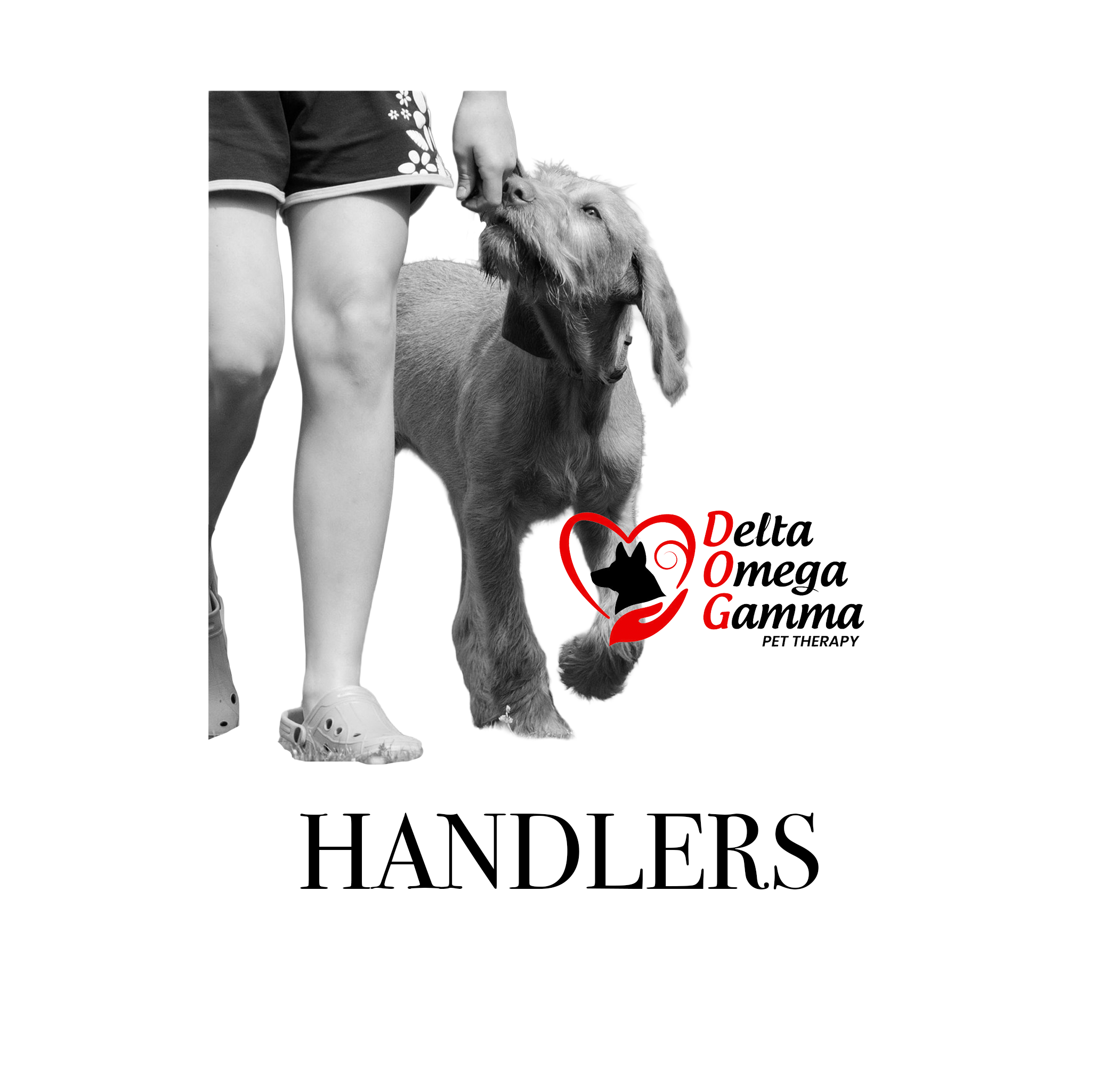 Handlers