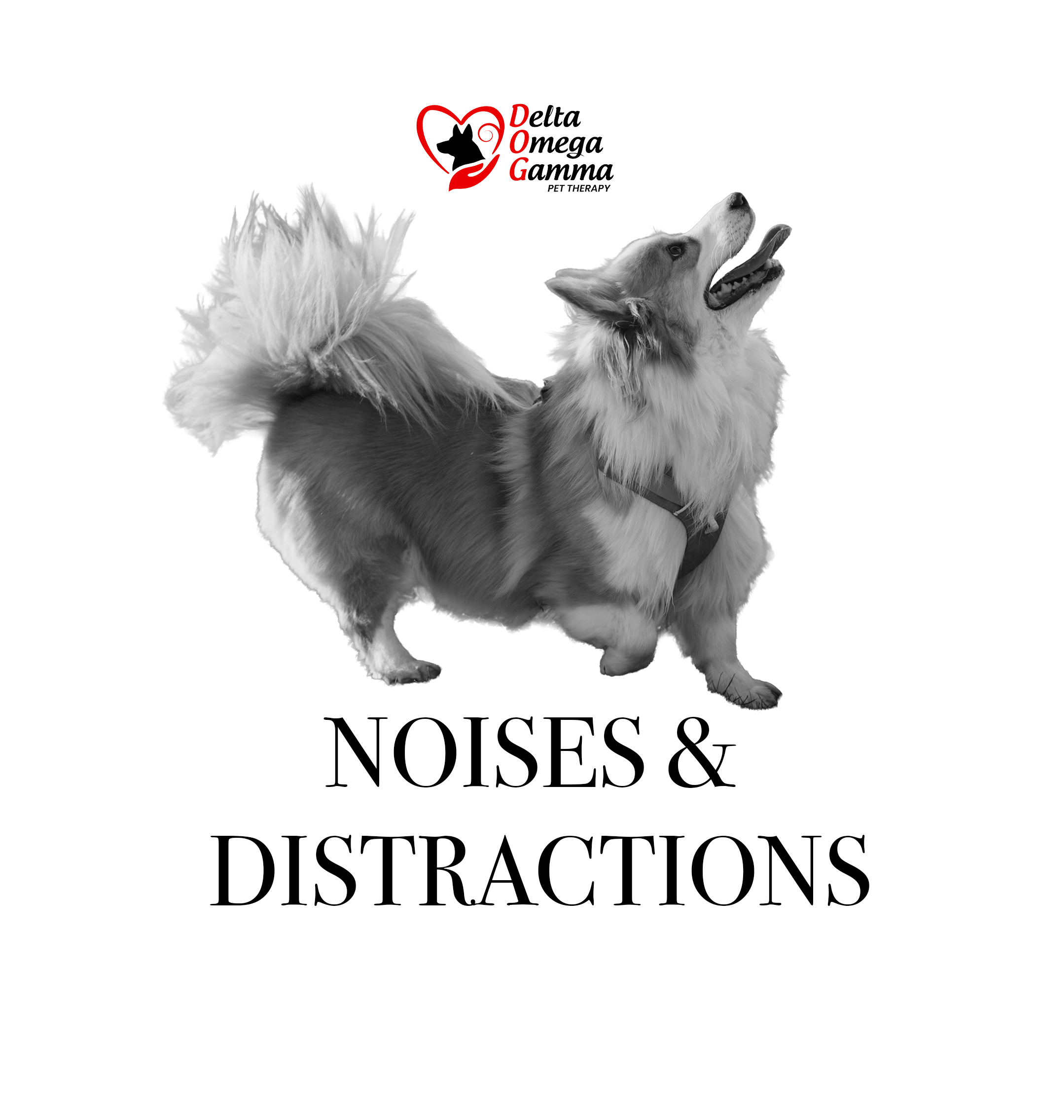 Sudden Noises and Distractions