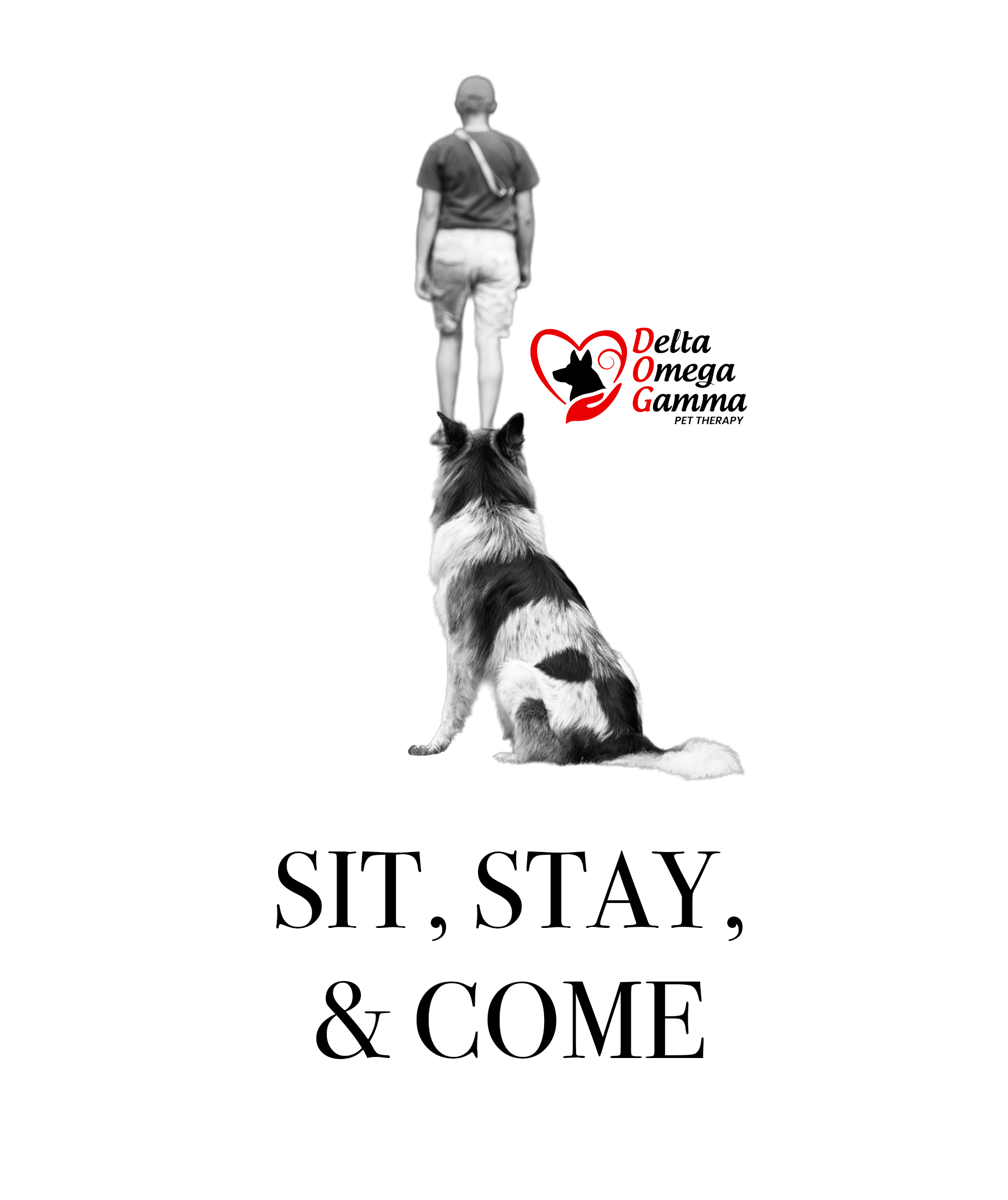 Sit Stay Come