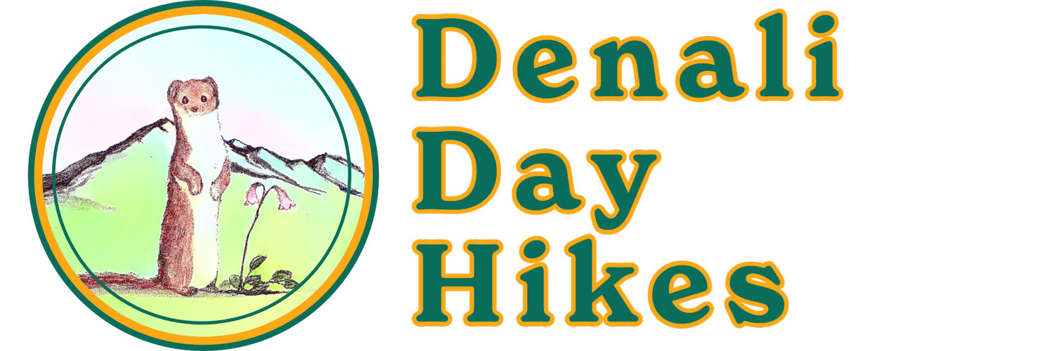 Denali Day Hikes