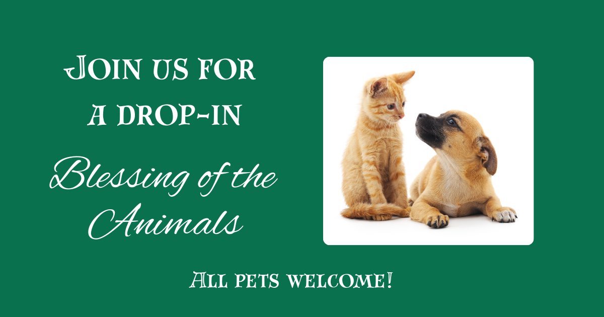 An invitation to a drop-in blessing of the animals featuring a picture of a dog and cat