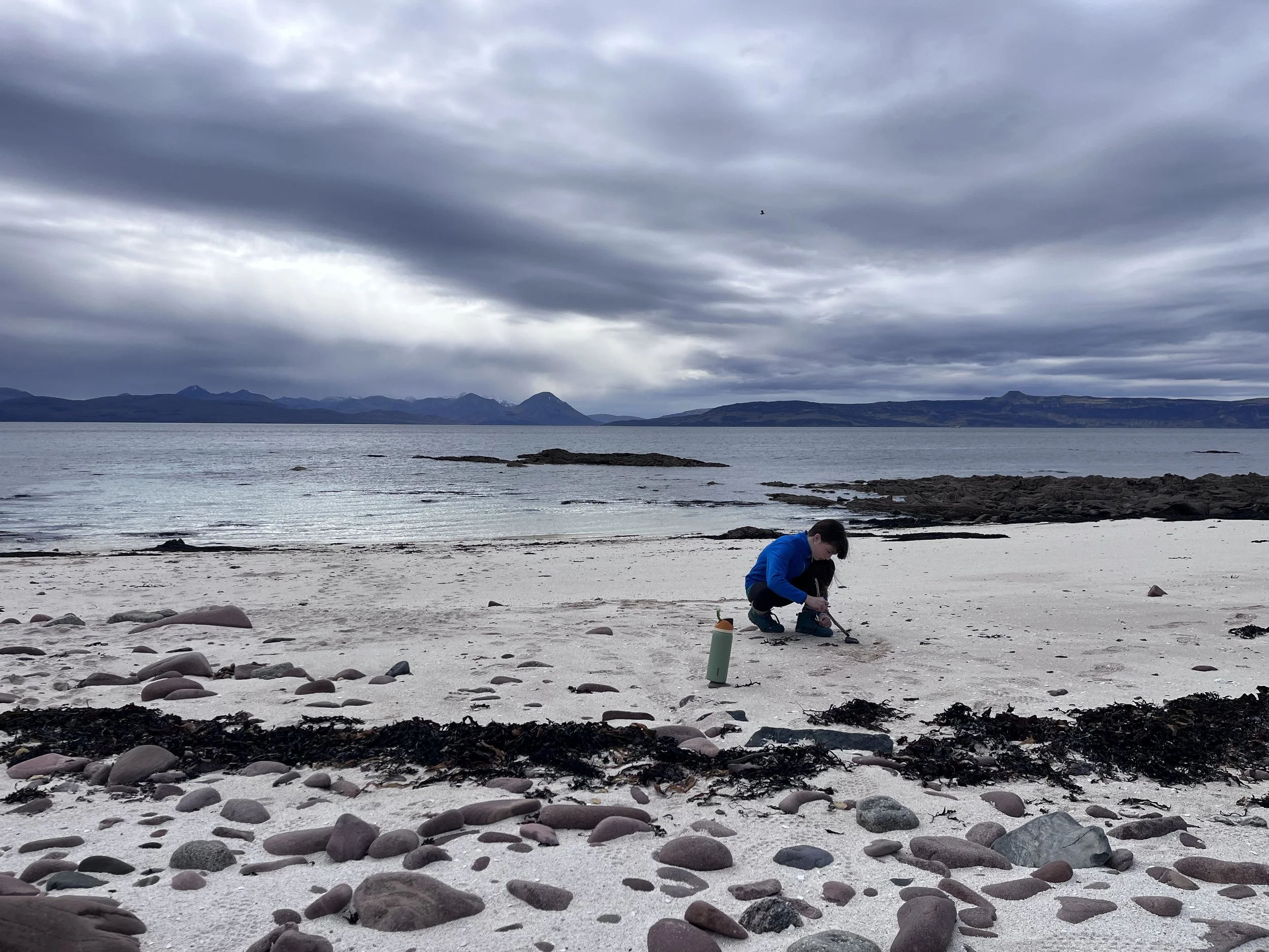 IMG_3098.jpeg