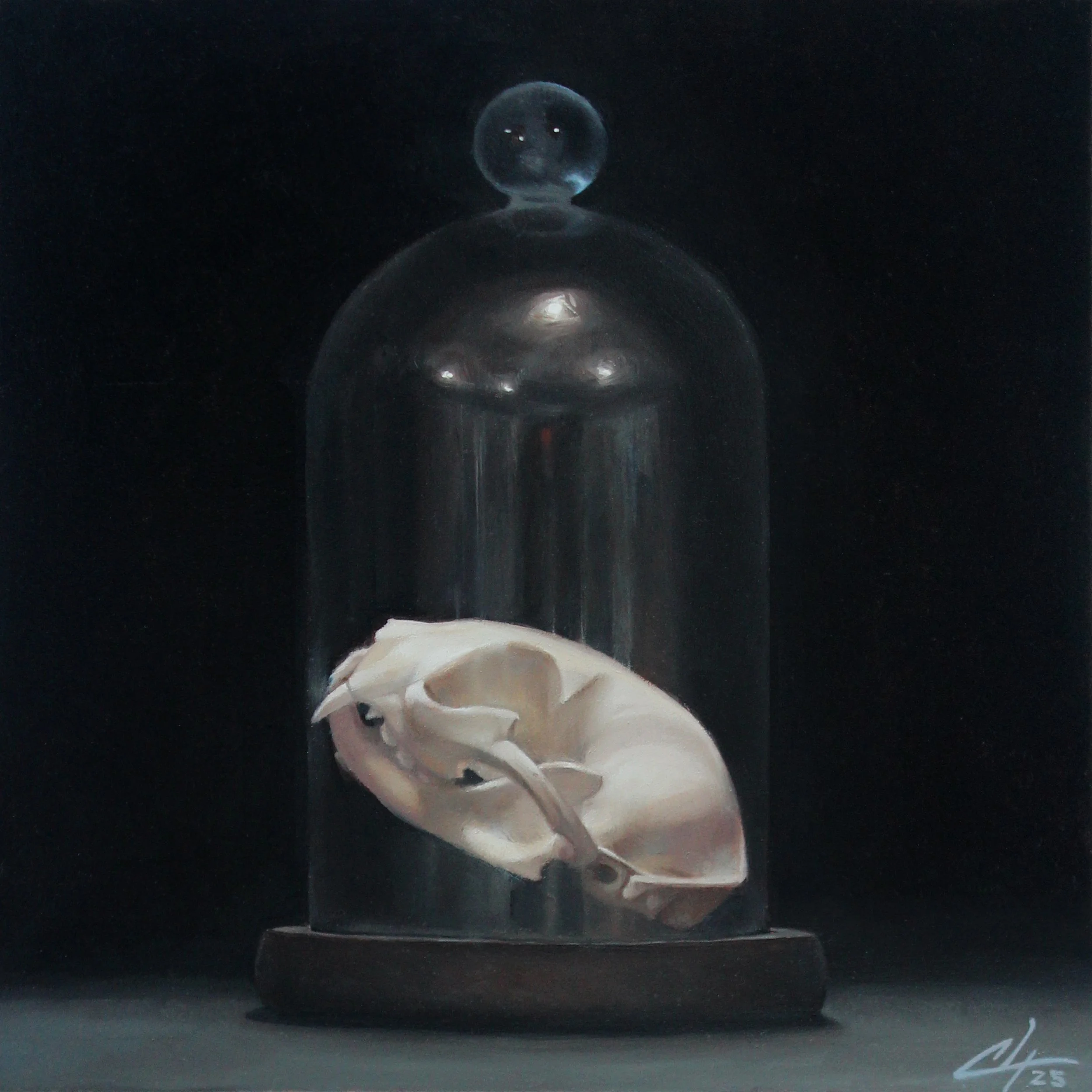 Memento - Felis