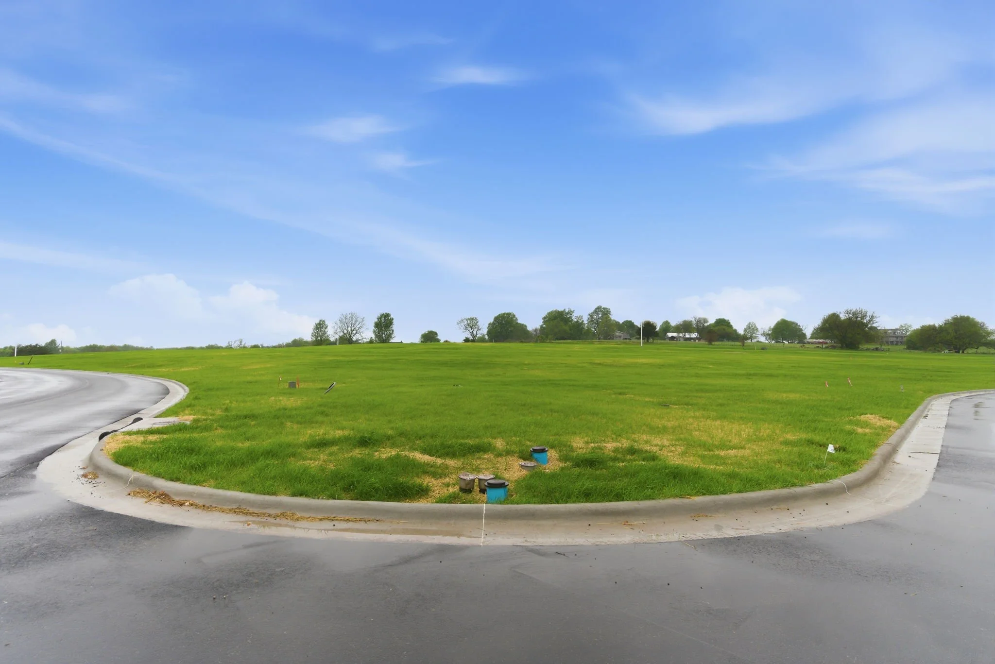 A curved paved road in a grassy area with green trees and distant houses under a blue sky with scattered clouds.