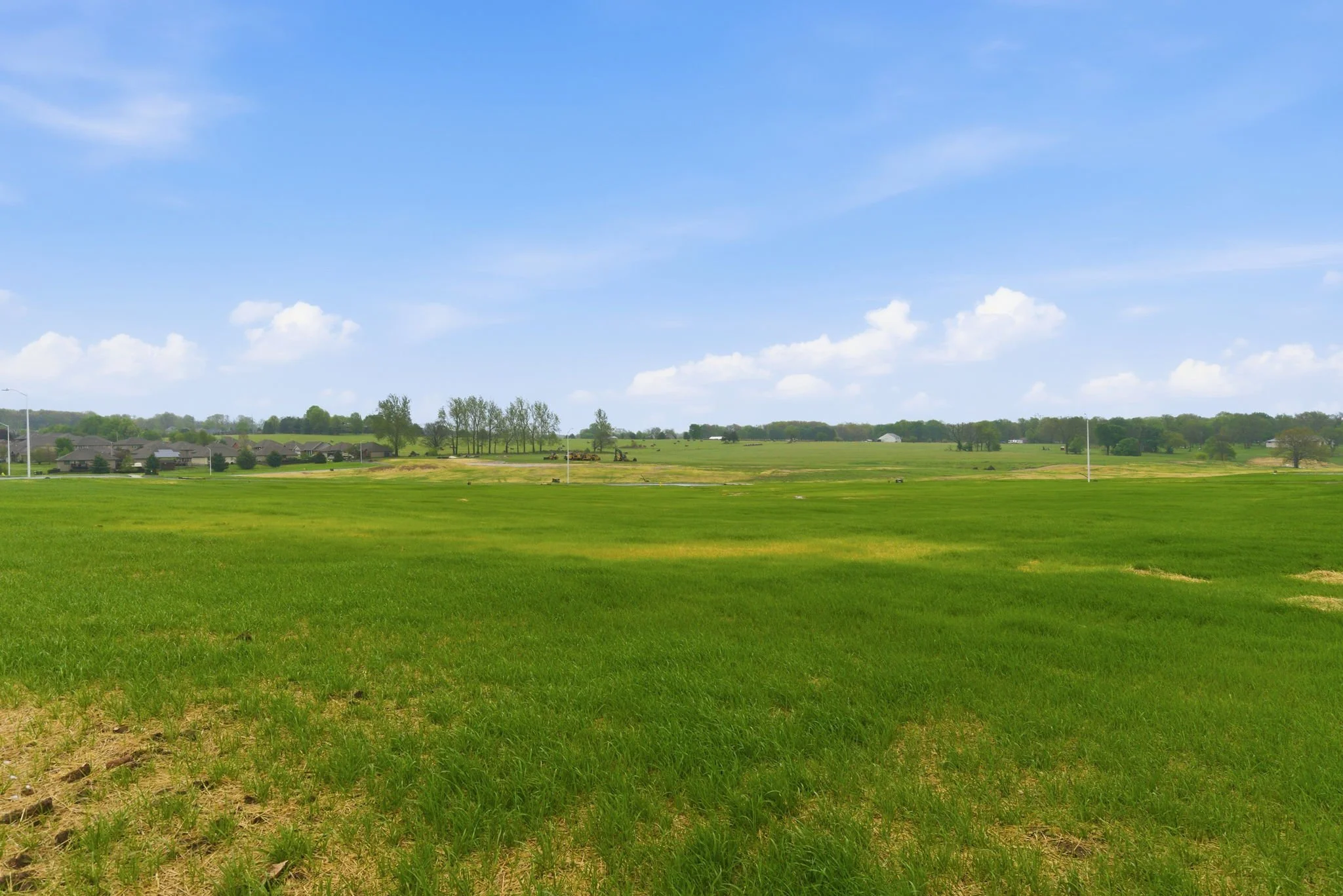 Open grassy field with scattered trees, a small neighborhood, and a blue sky with scattered clouds.