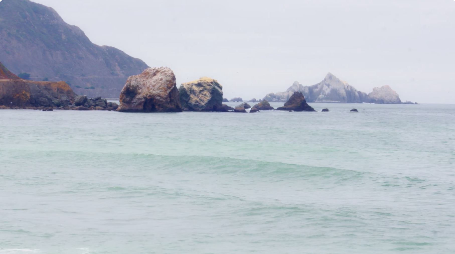 Screenshot 2026-02-11 at 1.40.42 PM.png