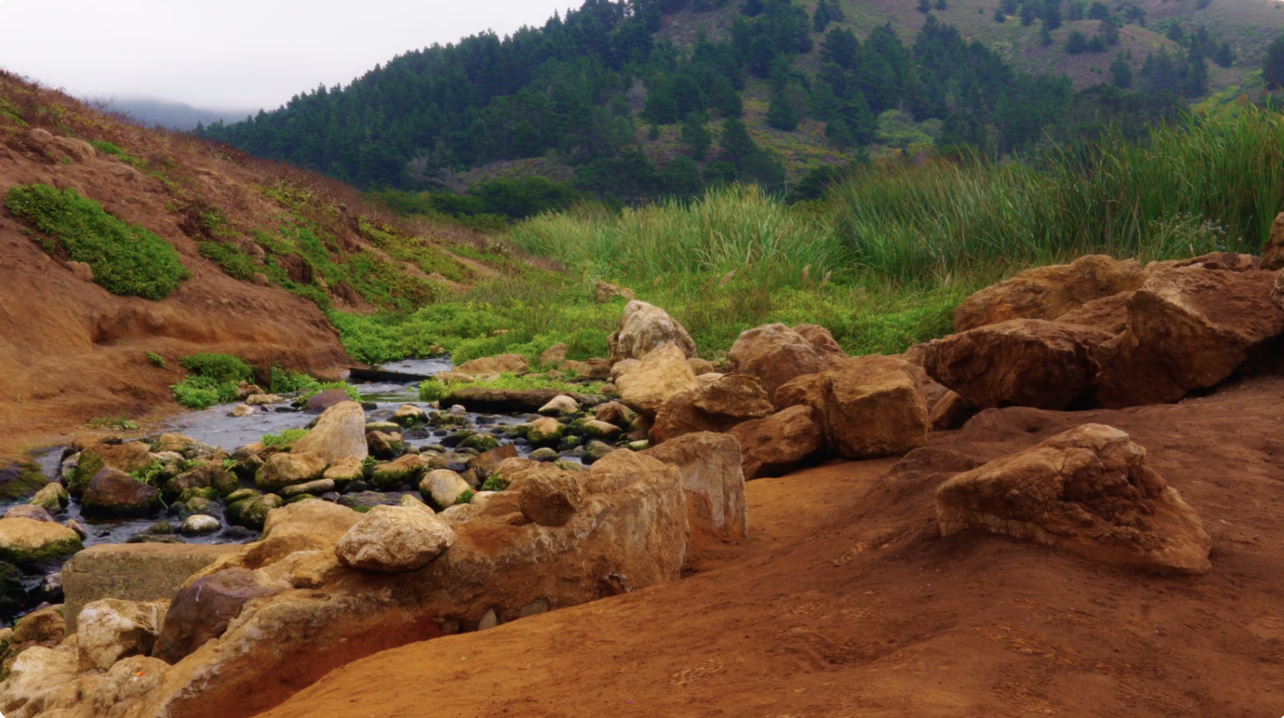 Screenshot 2026-02-11 at 1.40.32 PM.png