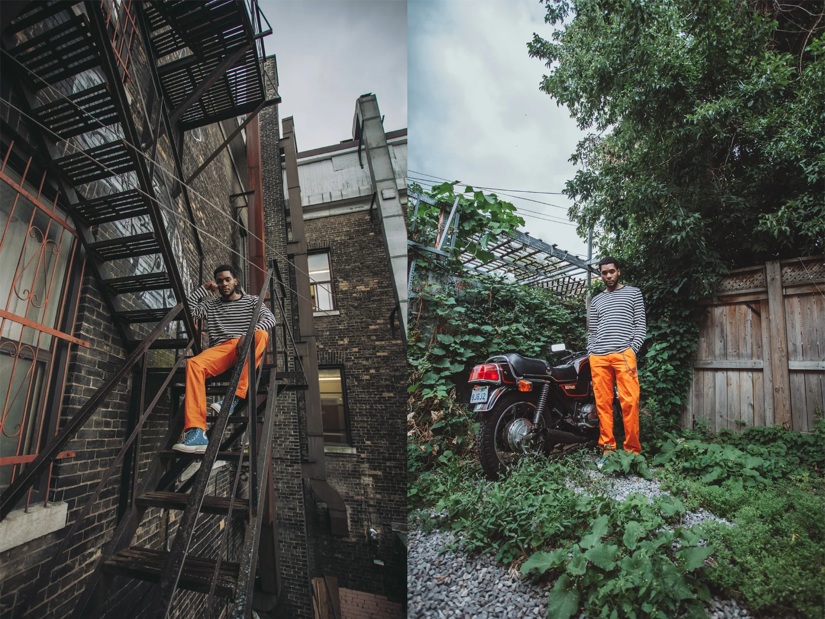 PhloChambers3 copy.jpg