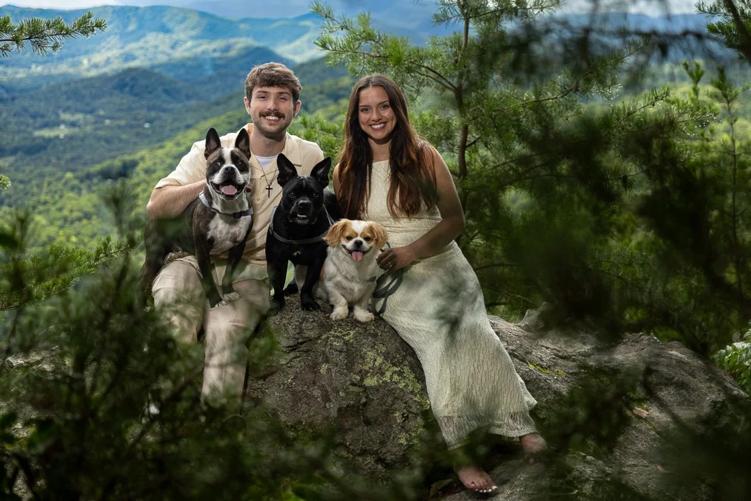 Engaged couple sitting on a rock with their three dogs against a sweeping Smoky Mountain backdrop.
