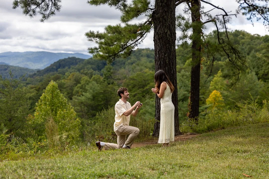 Man proposing on one knee to his partner beside a large pine tree with layered Smoky Mountain views behind them on the Foothills Parkway.
