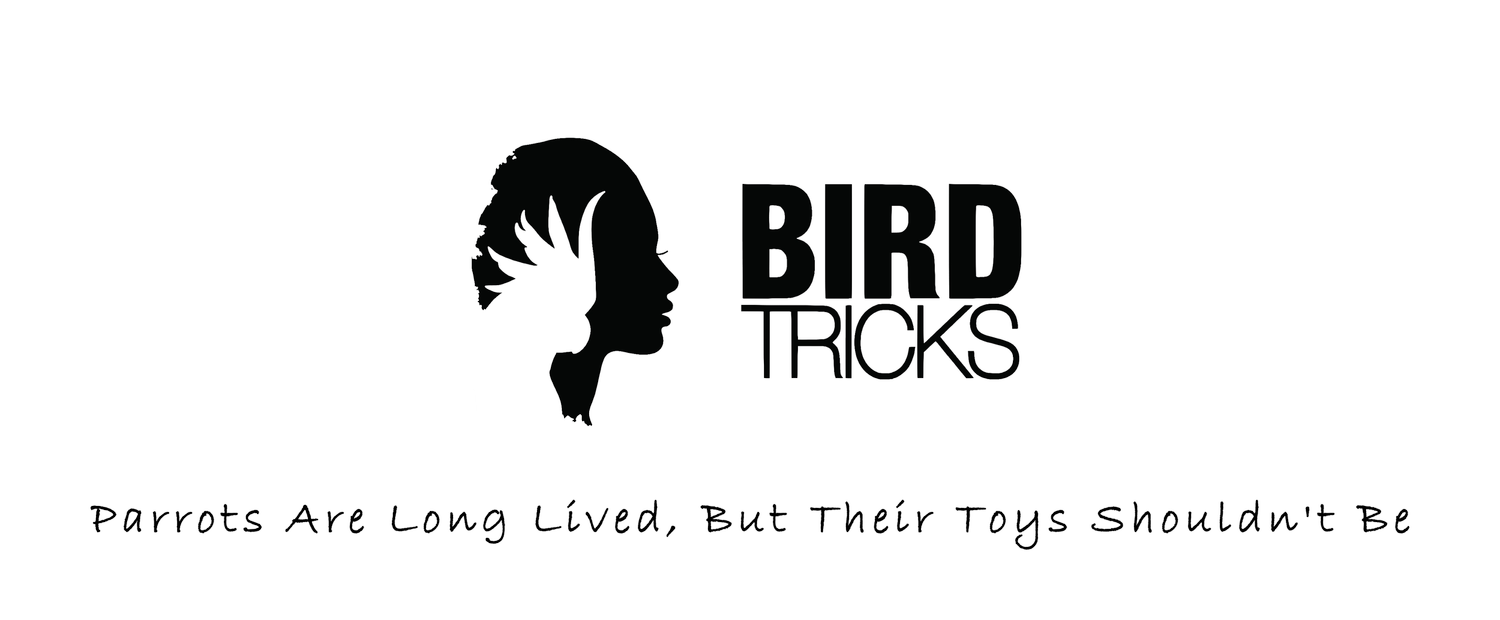 BirdTricks Exclusive Toys