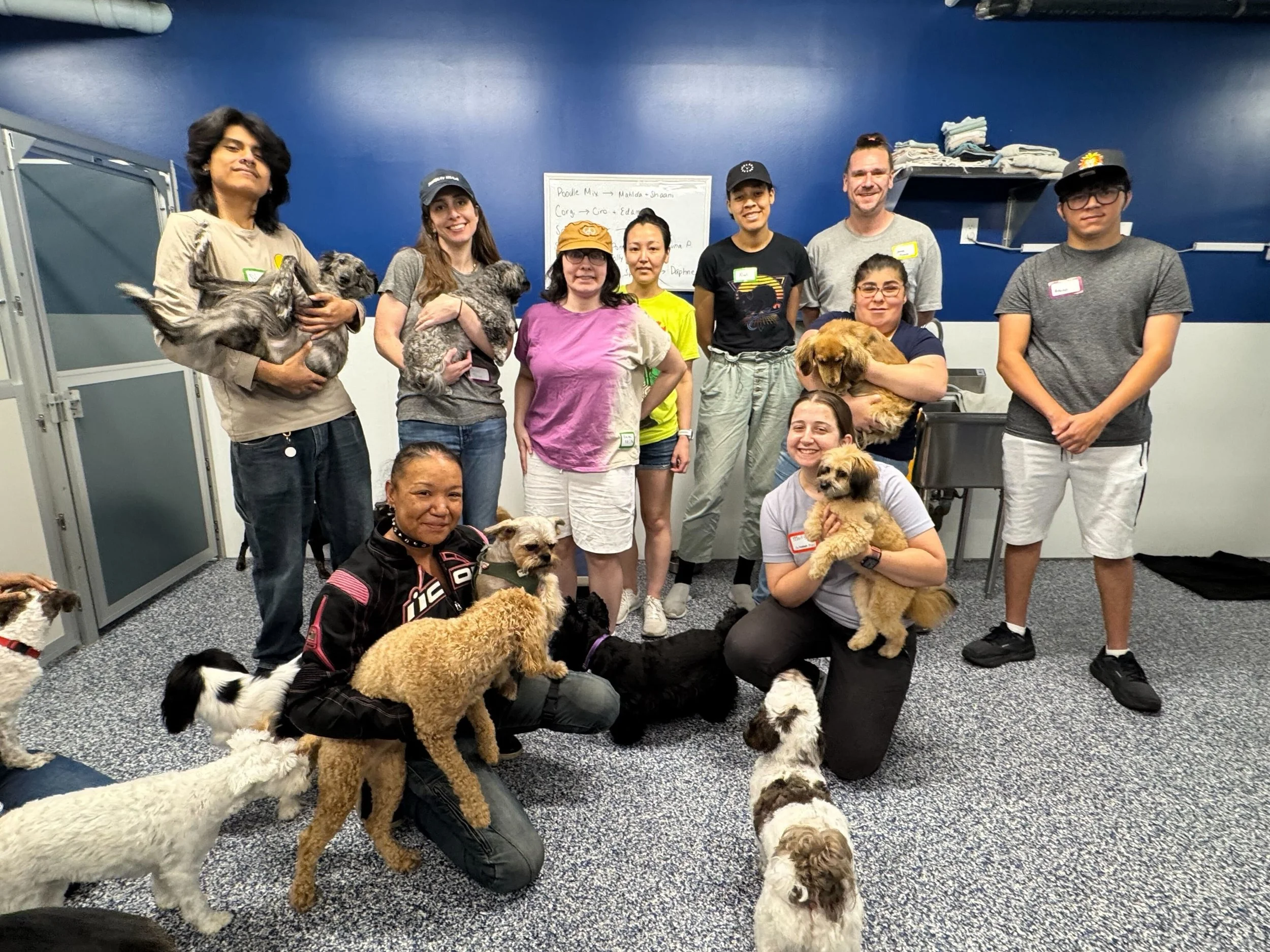 Paws & Pizza (with Pawsability) 2025