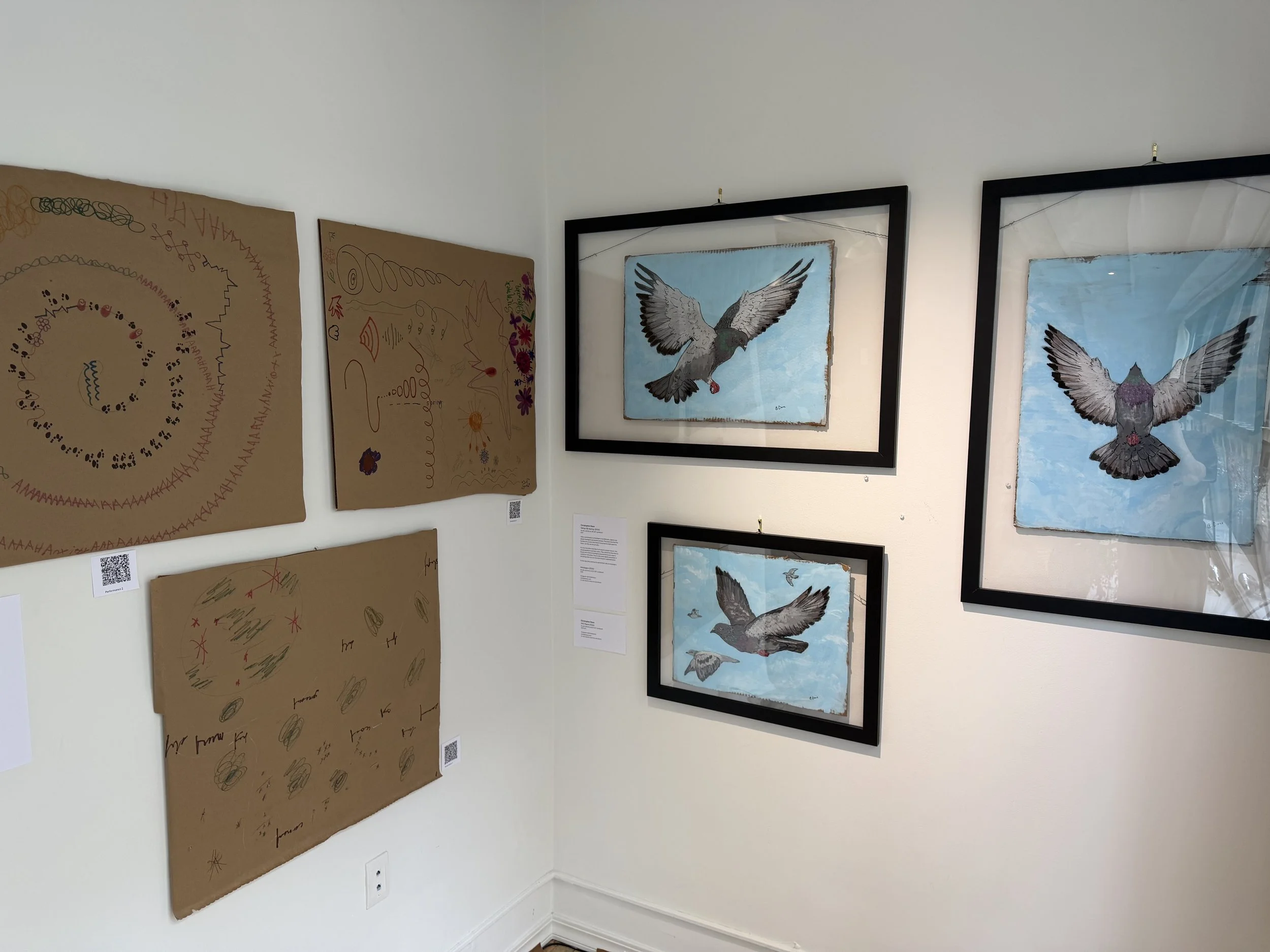  Image of gallery wall - Sound art graphic scores and large framed pigeon paintings. 