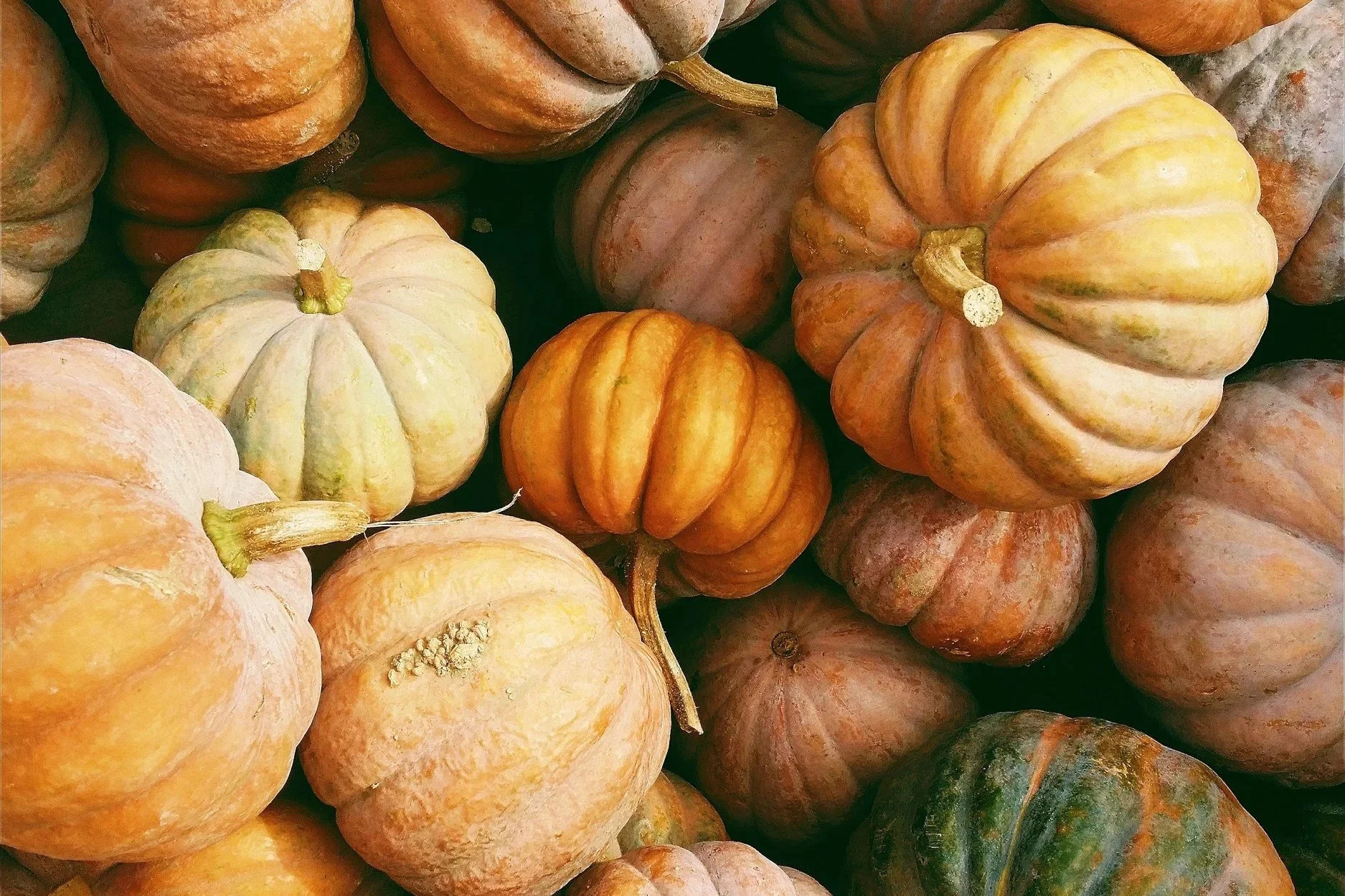 Orange, yellow and green mini pumpkins