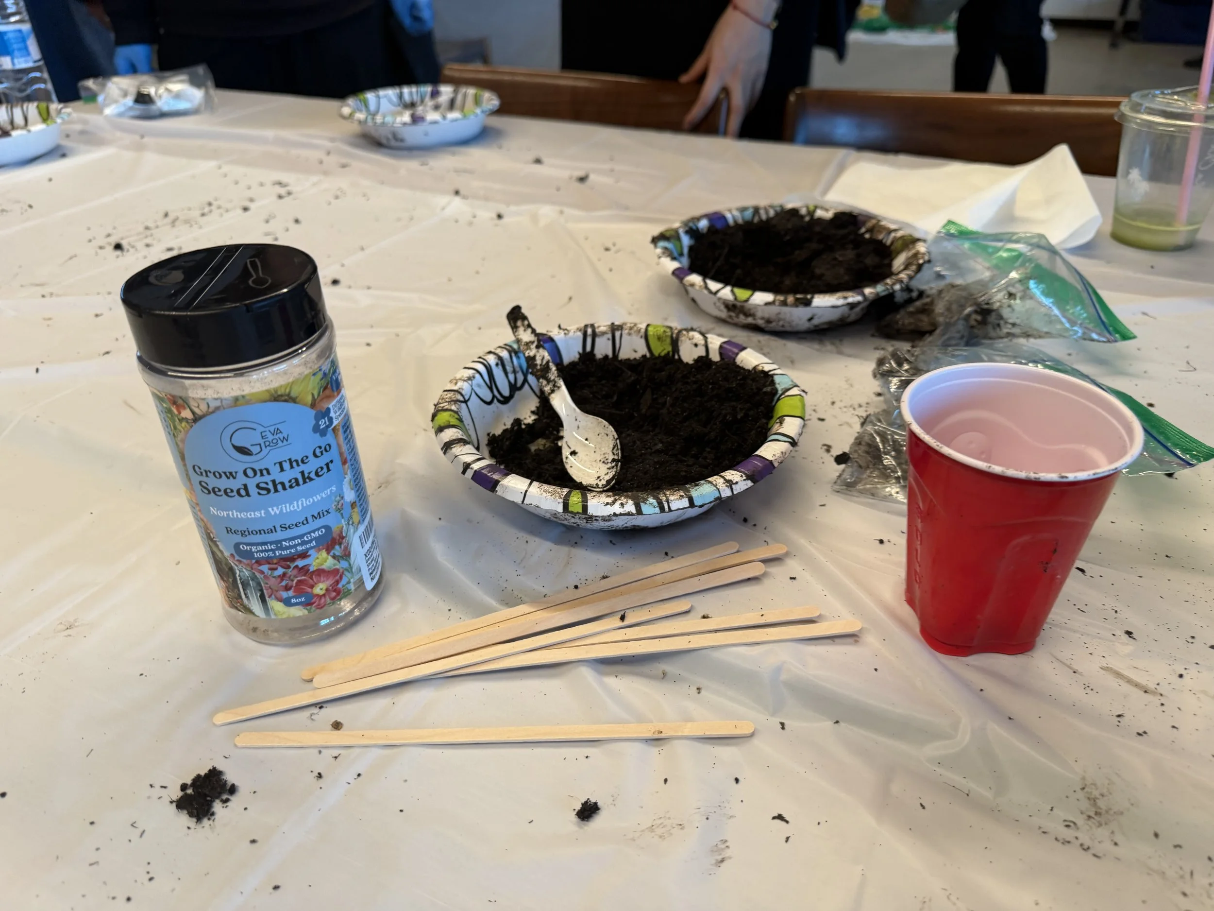 Seed Bomb Workshop 2026