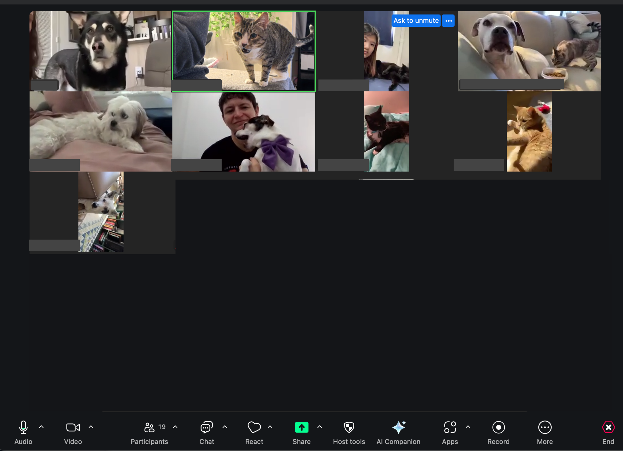 4th Annual Pet Meetup 2026