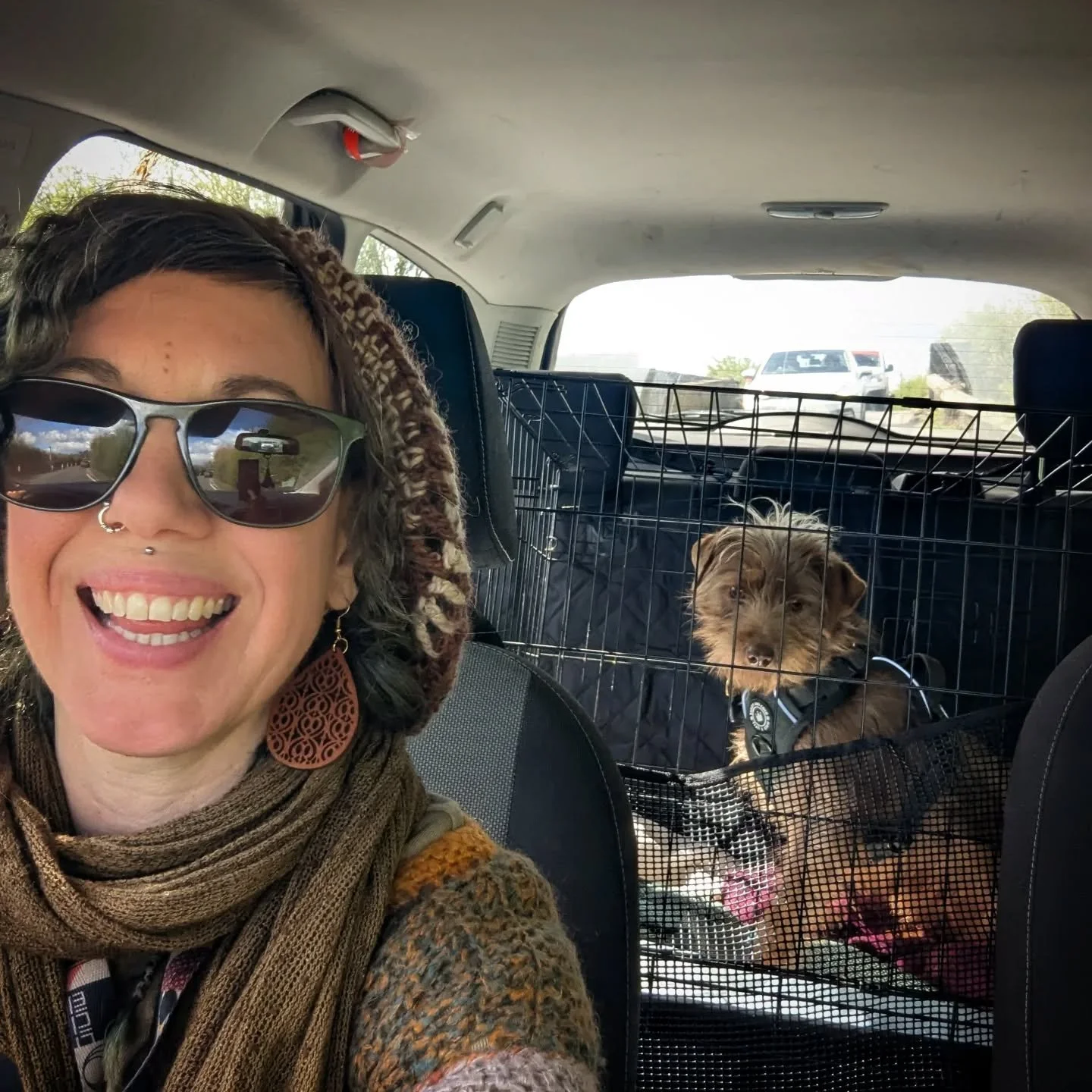 On Sunday I drove a 6 hour round trip to pick up this little lady. 

This is Pippin. A 2 year old Romanian rescue who was abandoned outside a shop by her owners with her collar still on. There were signs she had recently had puppies. 

She travelled 