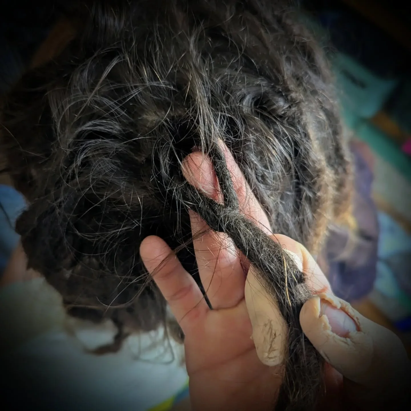Please don't interlock your dreads! 

It's so bad for your hair and scalp. It can cause tension bumps and lead to tension alopecia (hair loss due to too much strain on your roots). 

It also creates holes in your dreads and weak points that snap furt
