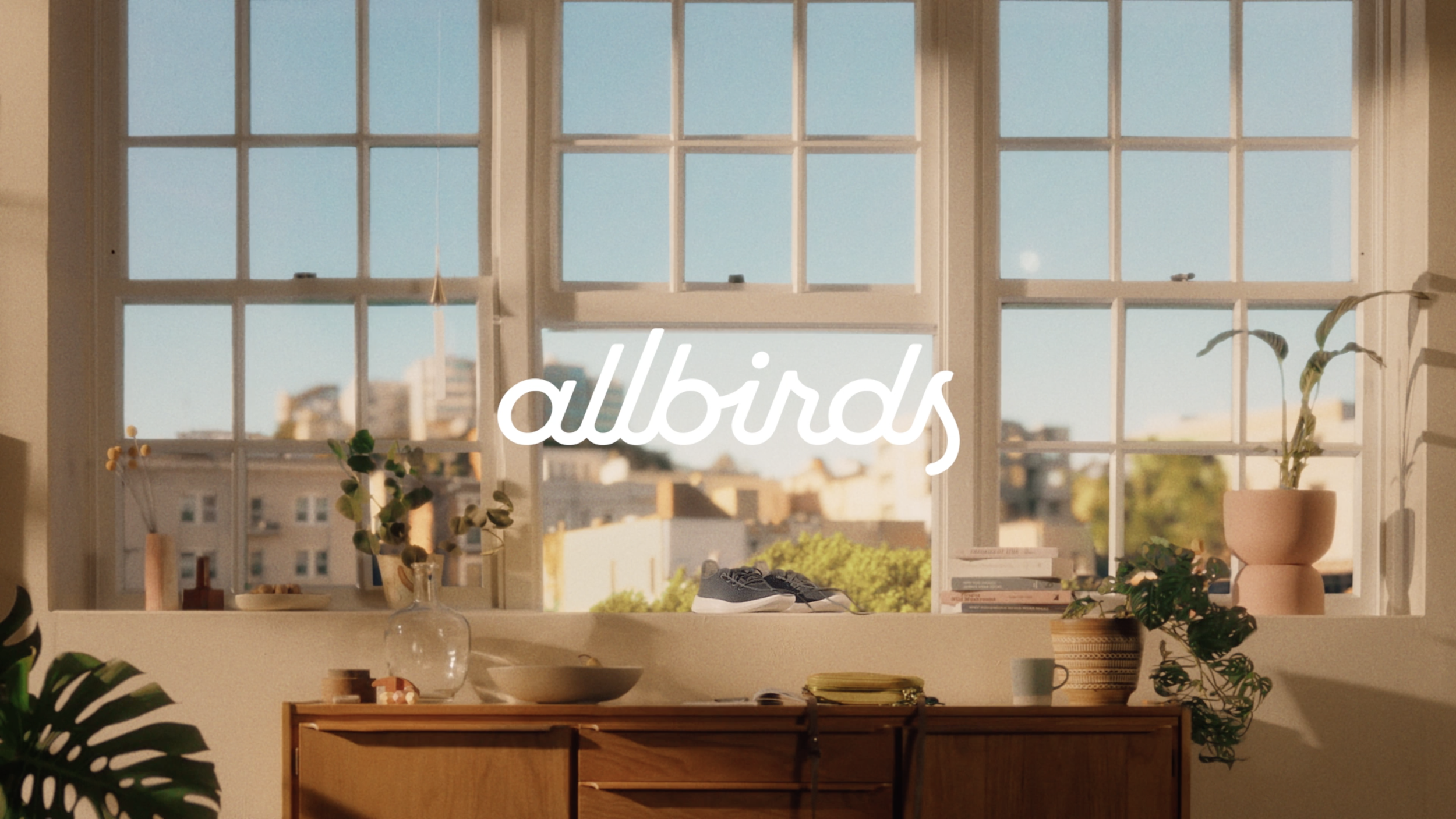 Allbirds Tree Runner