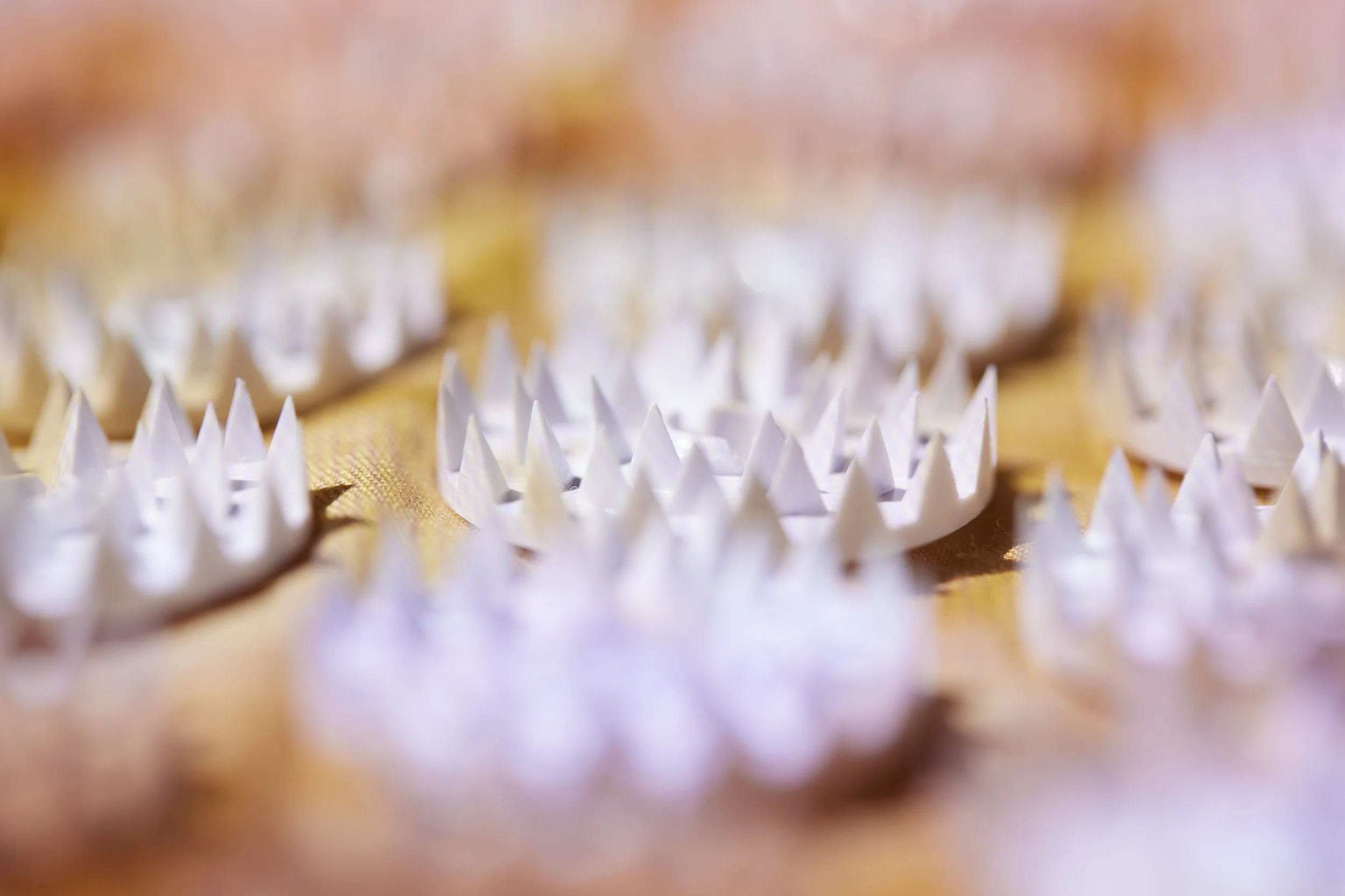 SHAKTI shot 4 0093_final.jpg