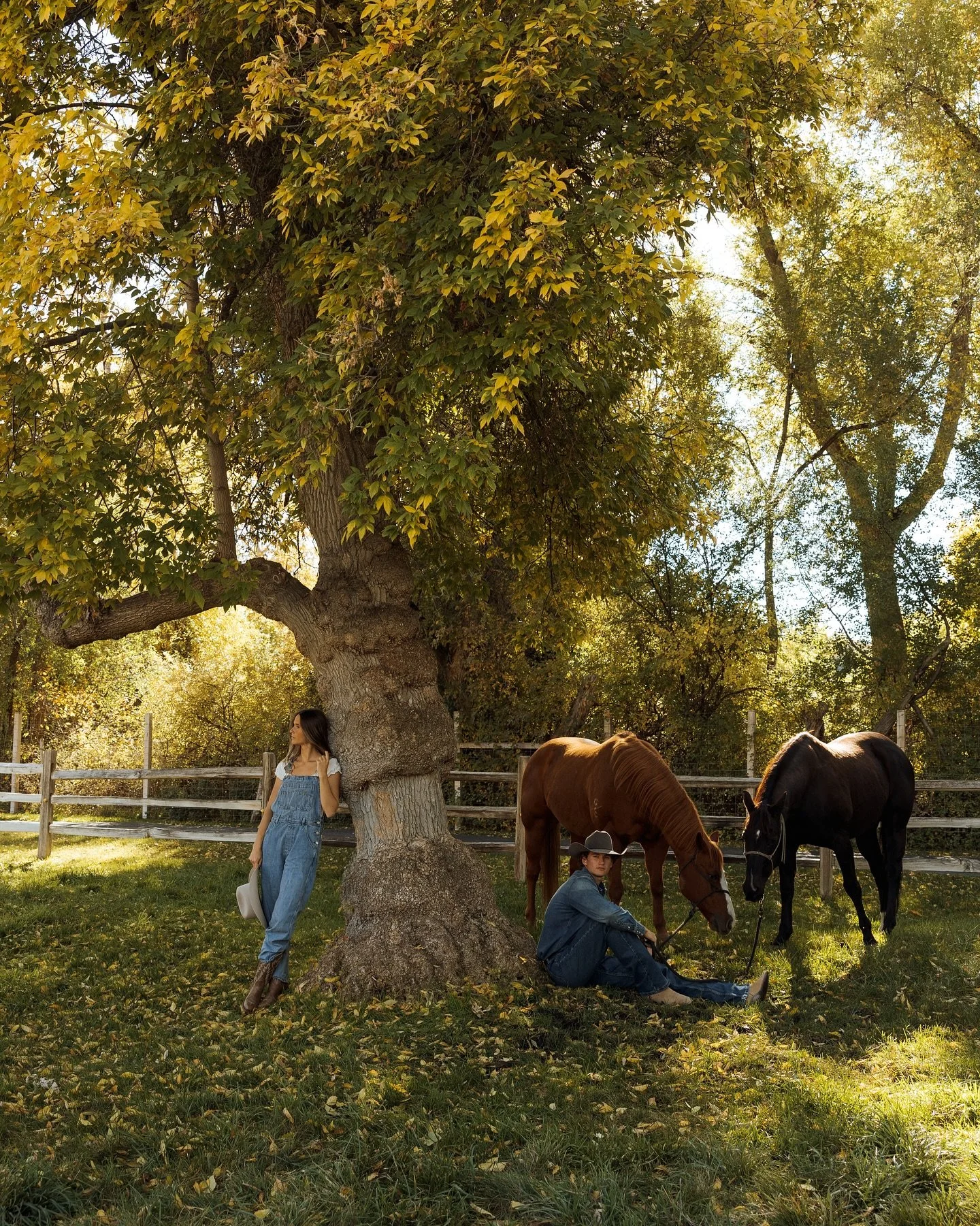 riding around with Aspen &amp; Quade🐴🤎
&bull;
&bull;
&bull;
&bull;
#minnesota #minnesotaphotographer #rockymountainbride #minnesotaweddingguide #minnesotaexposure #colorado #minnesota_captures #fallvibes #minnesotalove #minnesotabride #minnesotawed