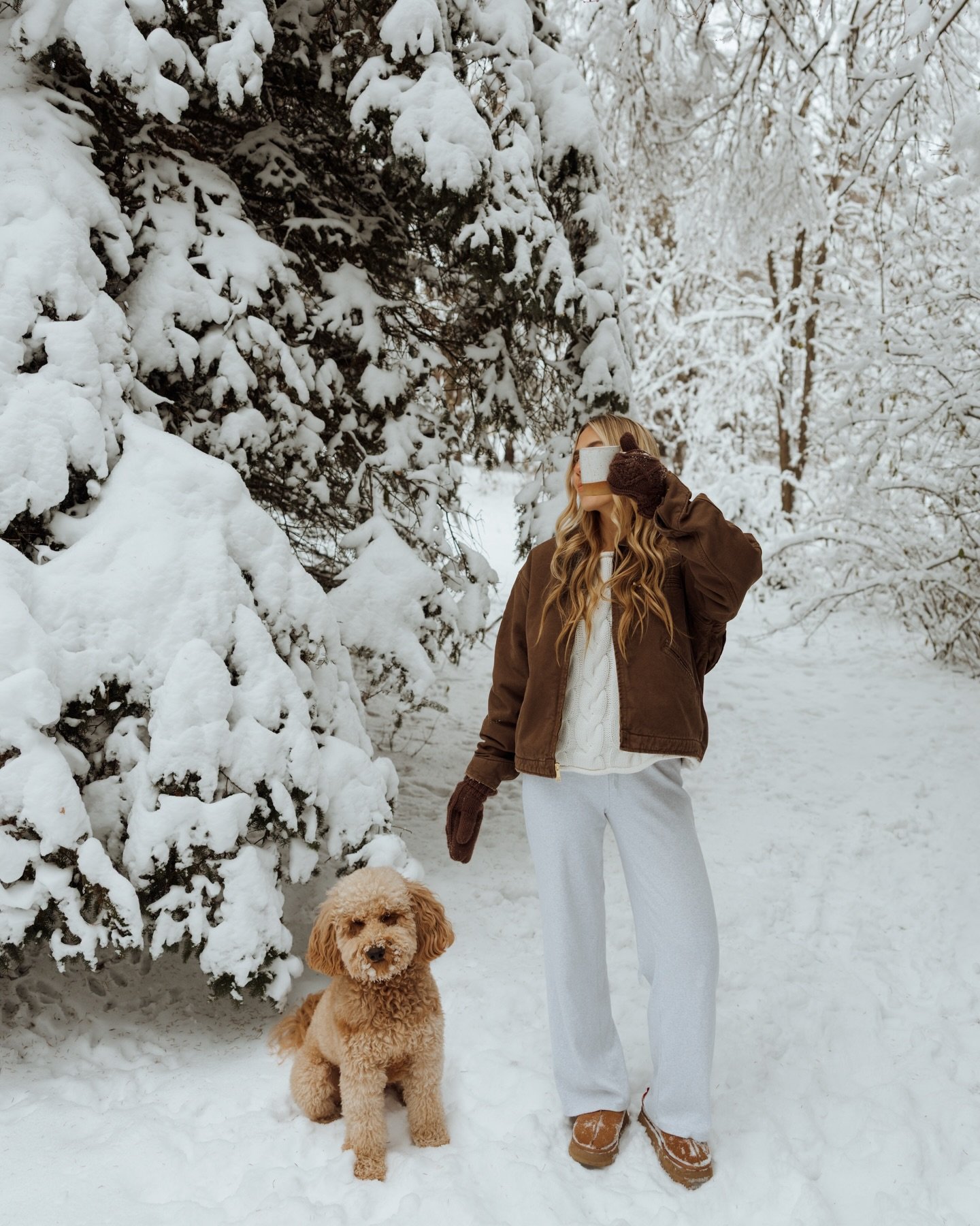 Snowed in❄️🤎
&bull;
&bull;
&bull;
&bull;
&bull;
#minnesota #minnesotaphotographer #minnesotalife #minnesotaweddingguide #minnesotaexposure #christmasseason #minnesota_captures #minnesotawinter #minnesotalove #minnesotabride #minnesotawedding #minnes