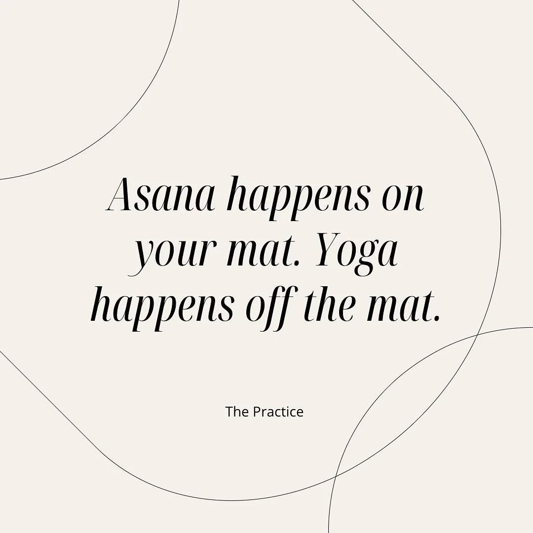 Weekend we are so back🌼