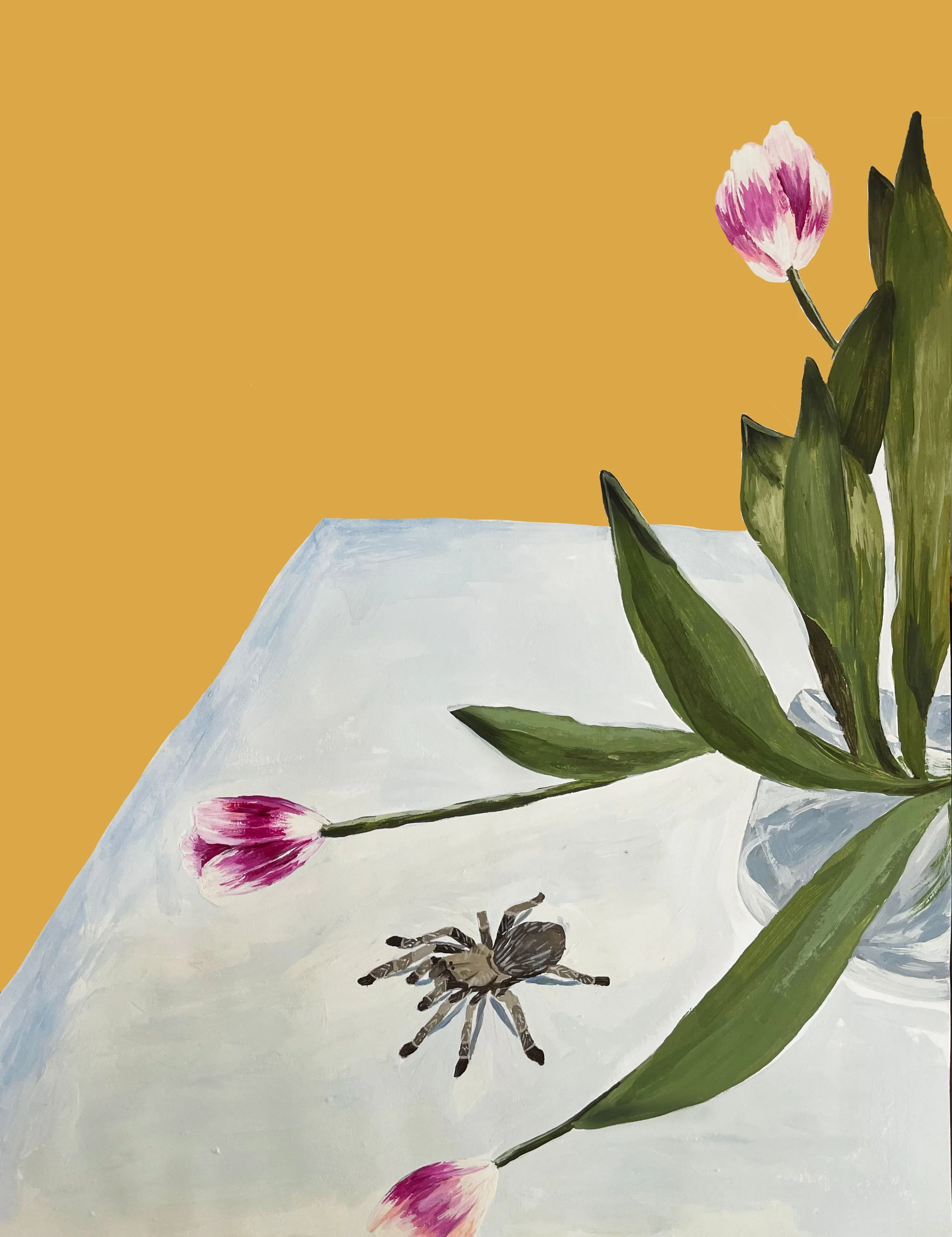 spider flower.jpg