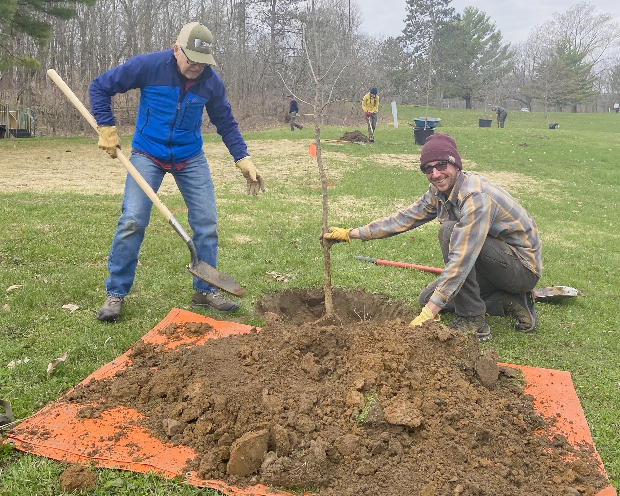 TreePlanting-4.jpg