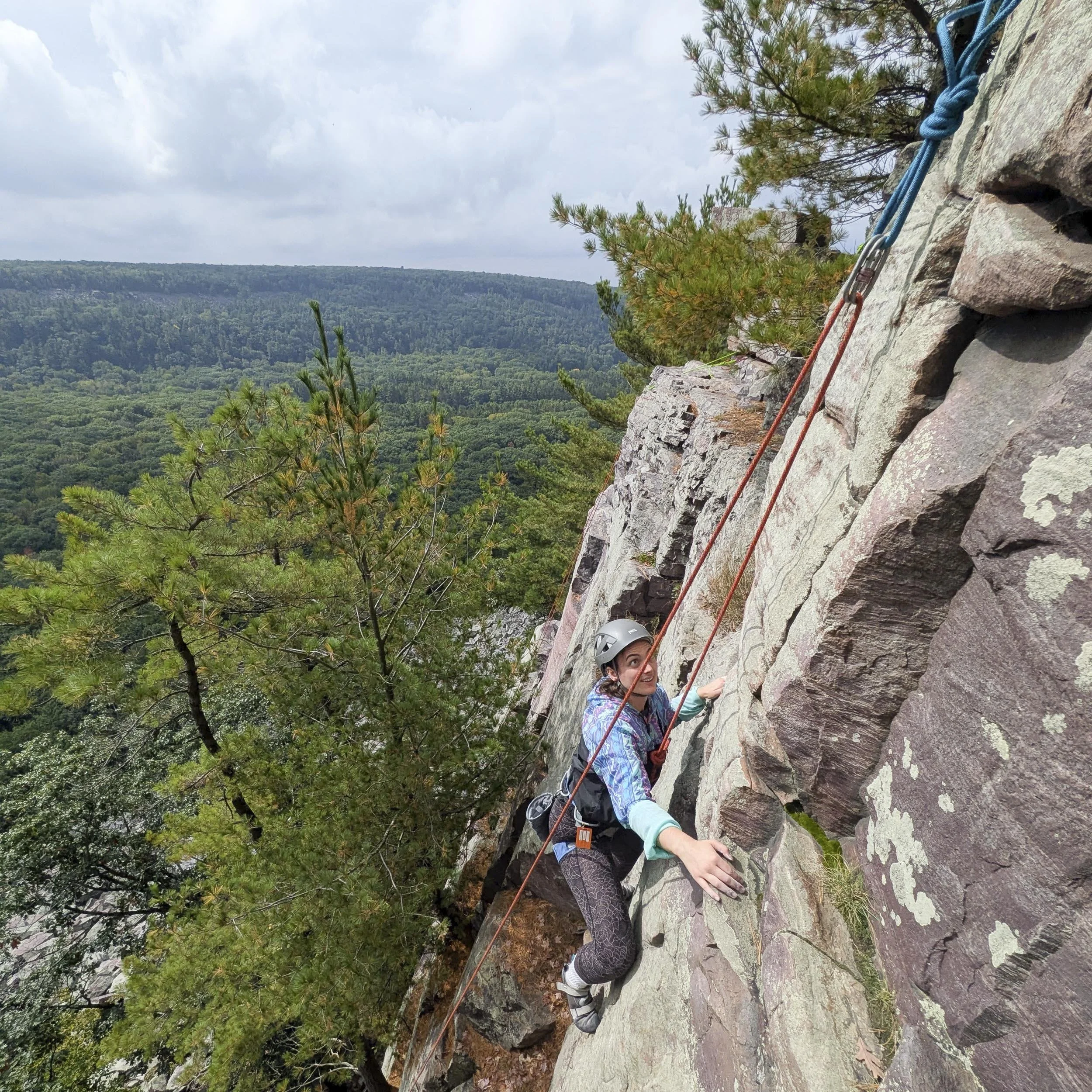 FA Push Me Pull You.jpg