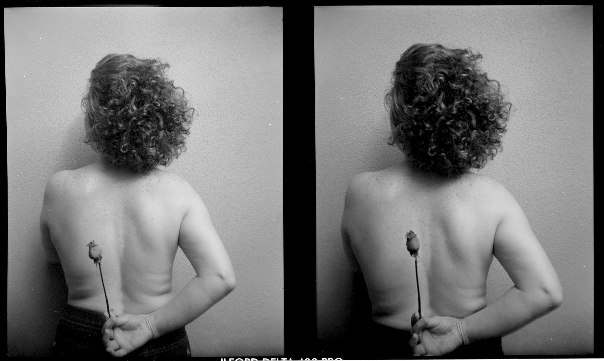 Andrés Rangl Studio ©