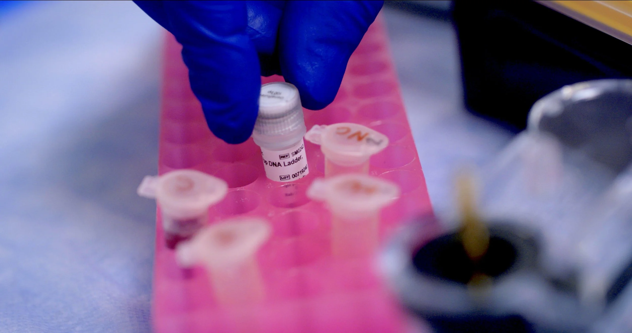 Jordan's Guardian Angels photo of gene research